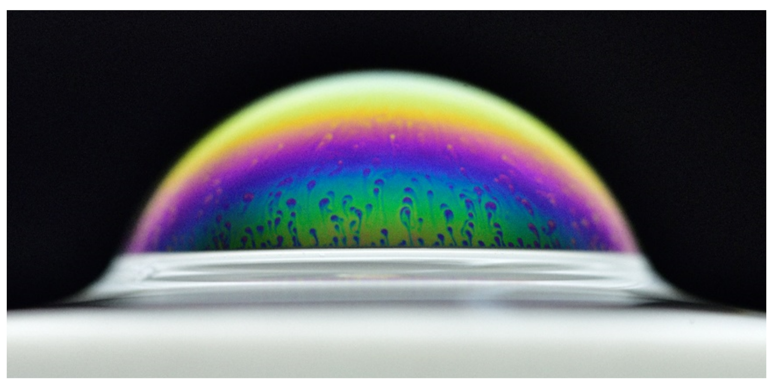 Molecules 26 01317 g001