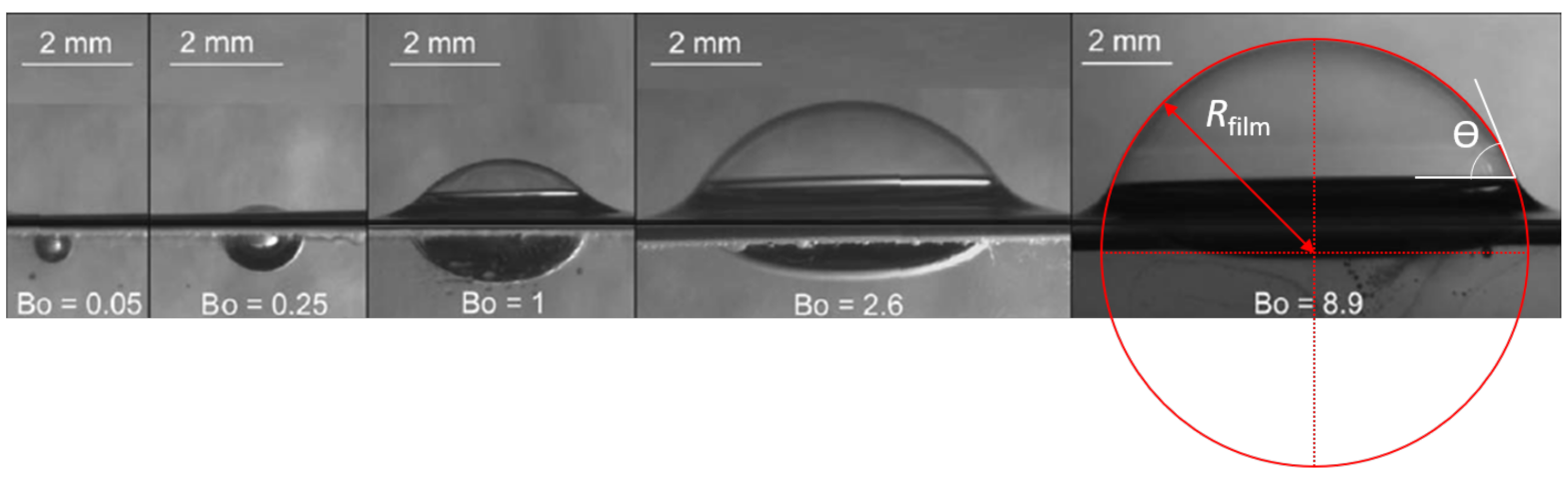 Molecules 26 01317 g002