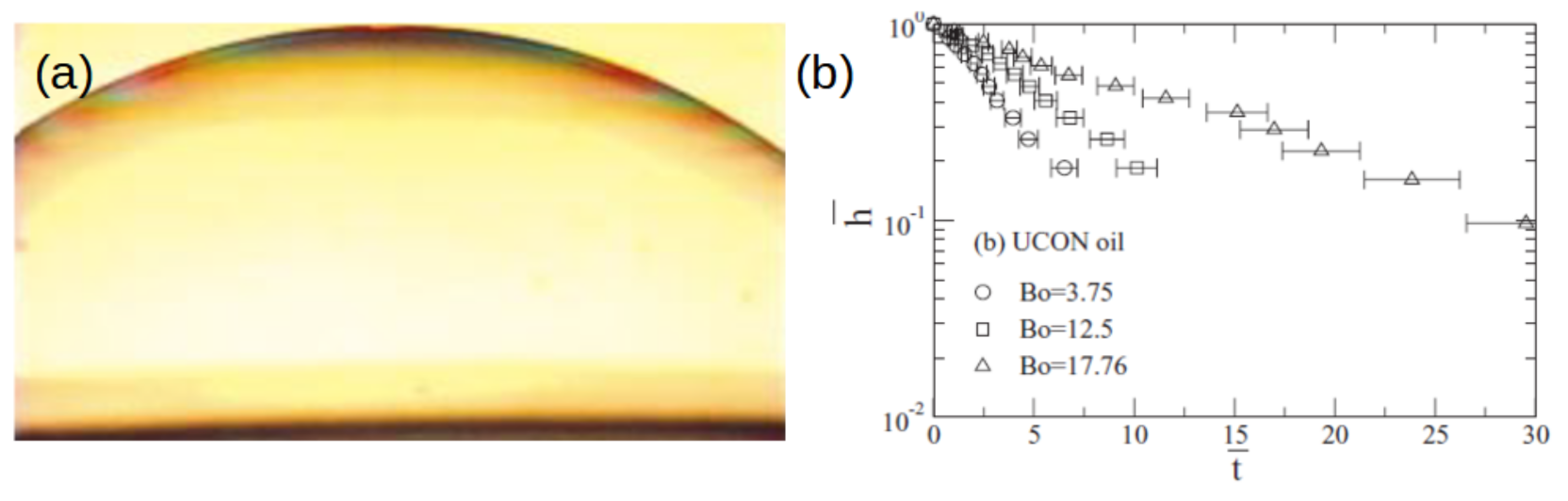 Molecules 26 01317 g003