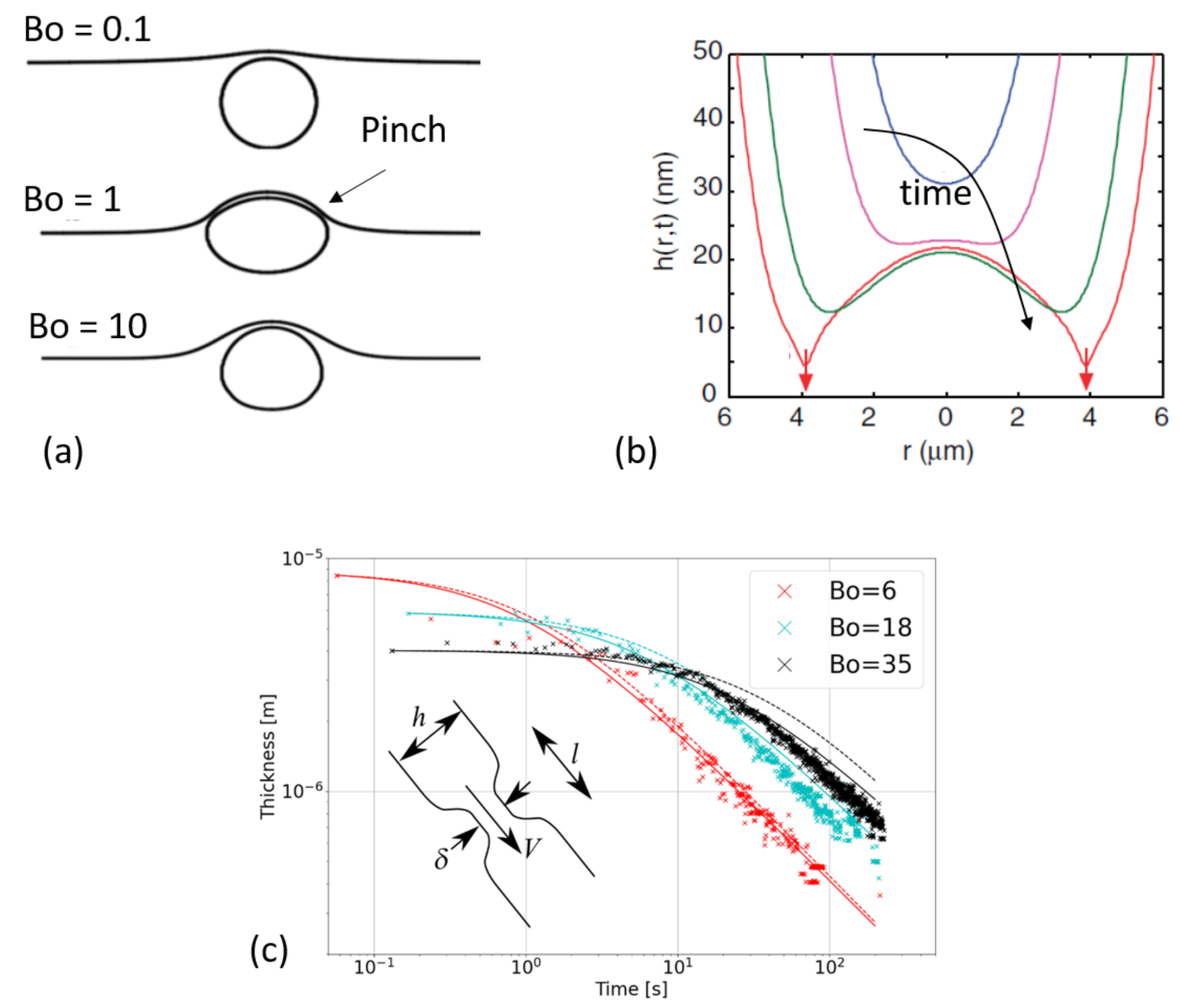Molecules 26 01317 g004