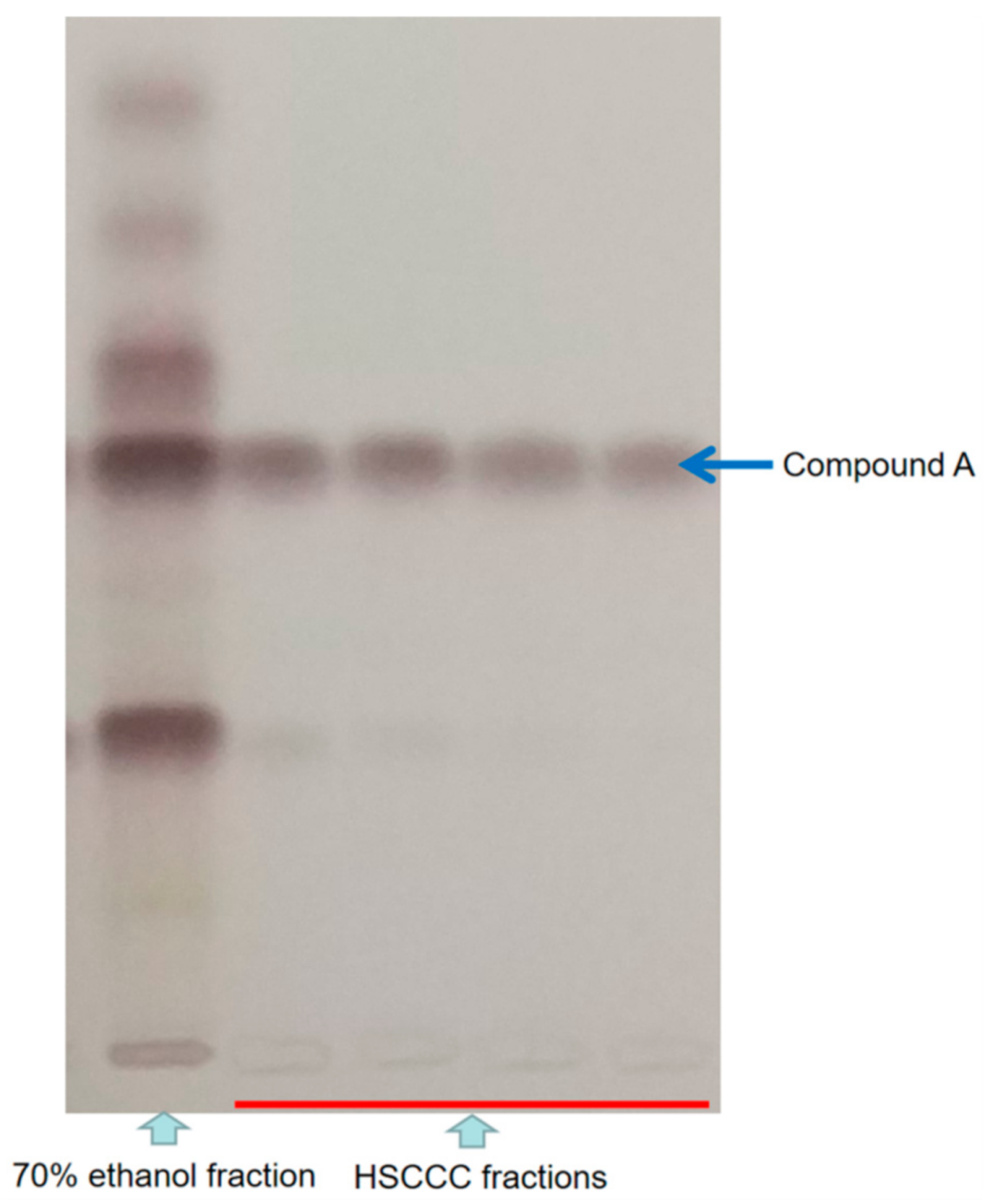 Molecules 26 01318 g003 Molecules 26 01318 g003