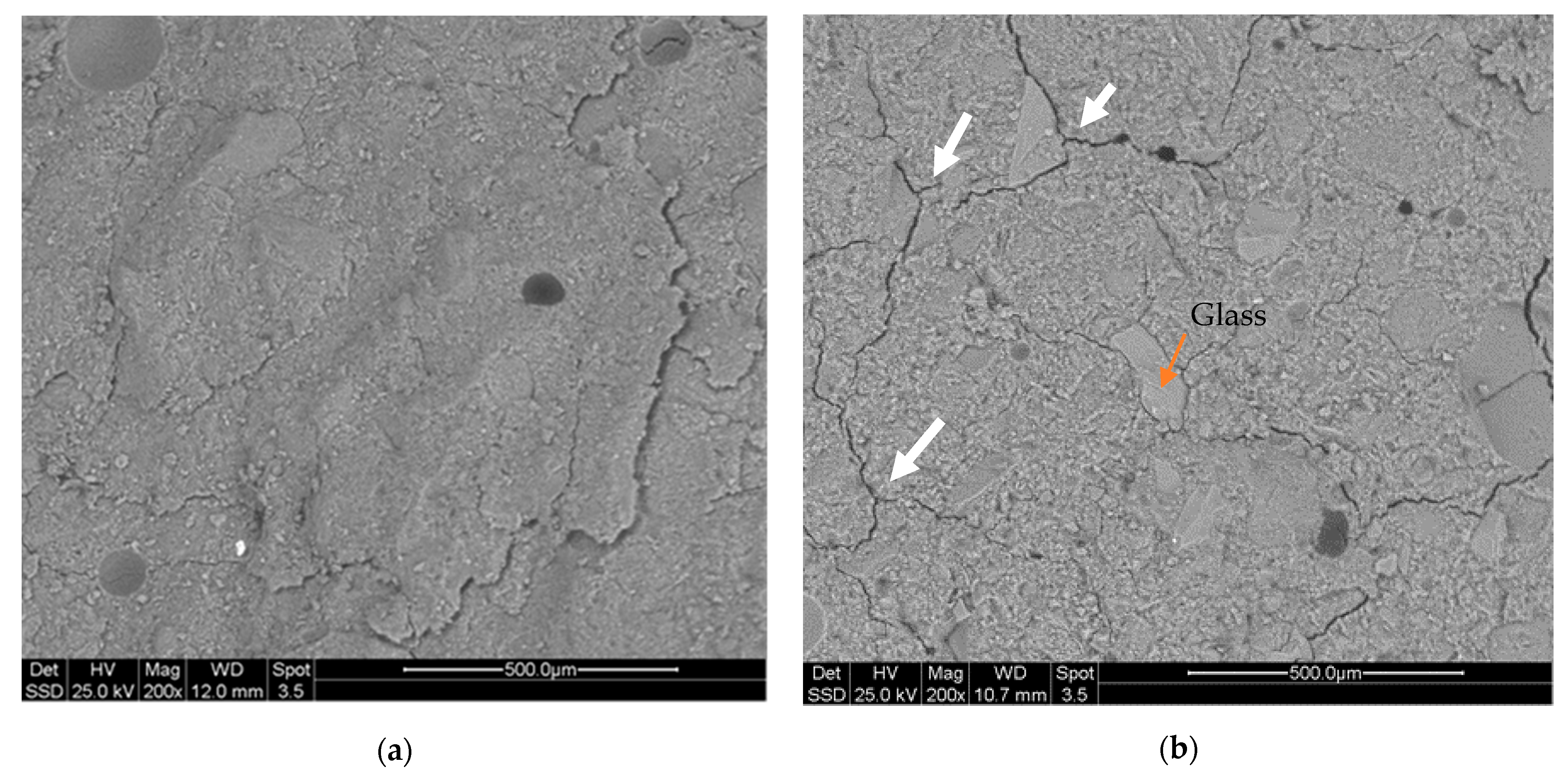 Molecules 26 01325 g007