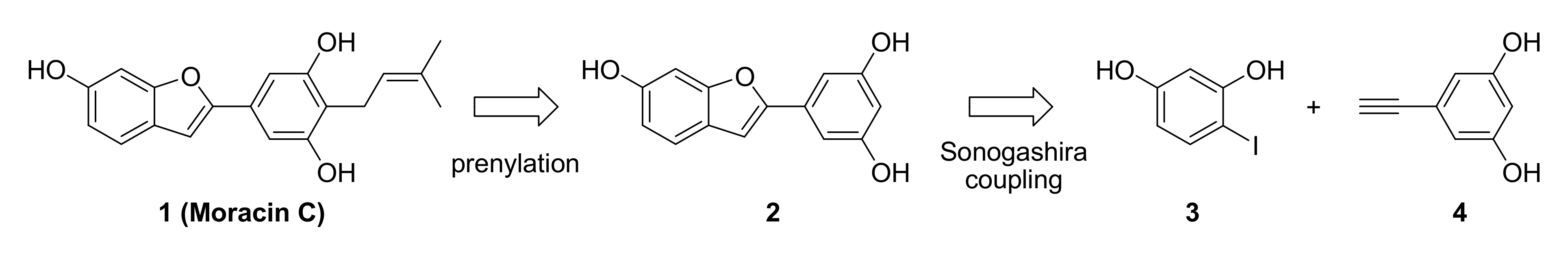 Molecules 26 01327 g003