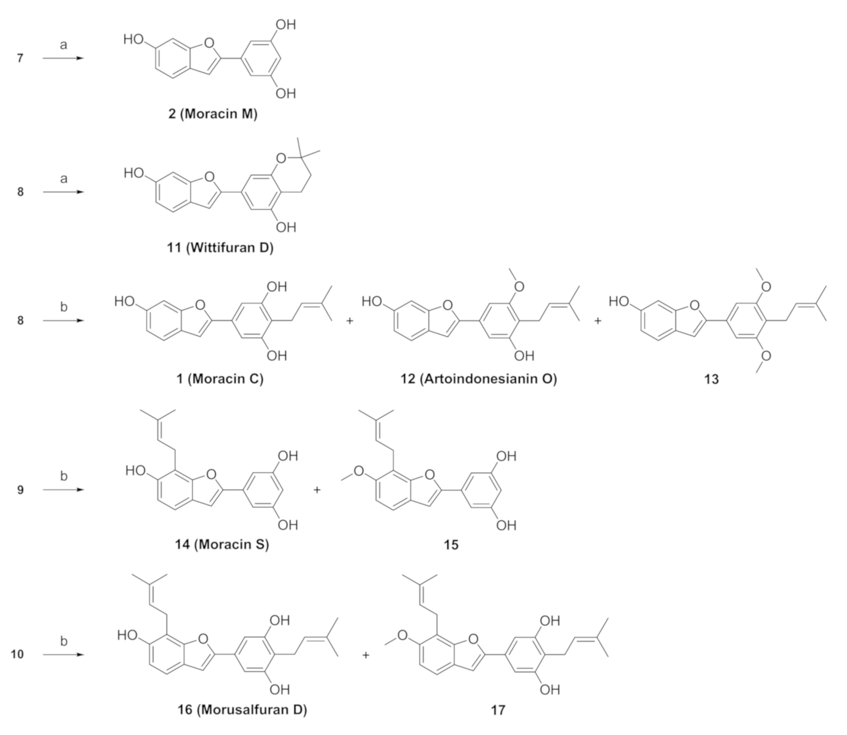 Molecules 26 01327 sch003