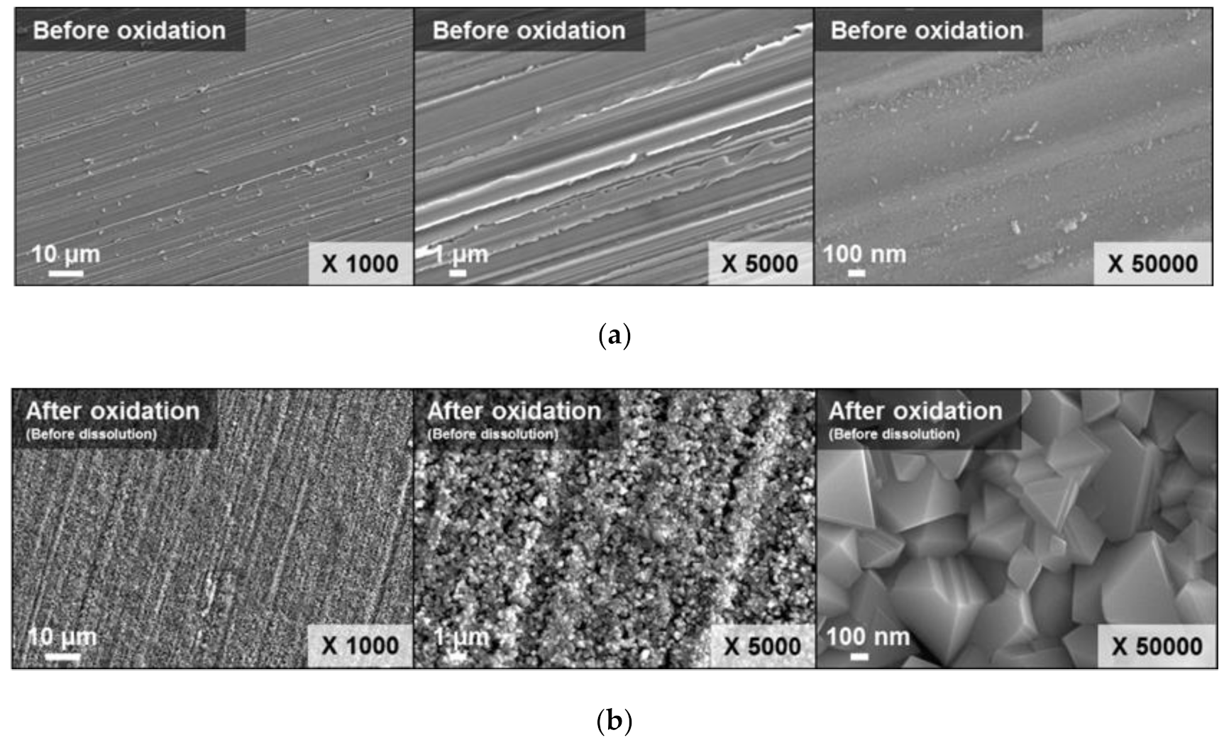Molecules 26 01329 g003