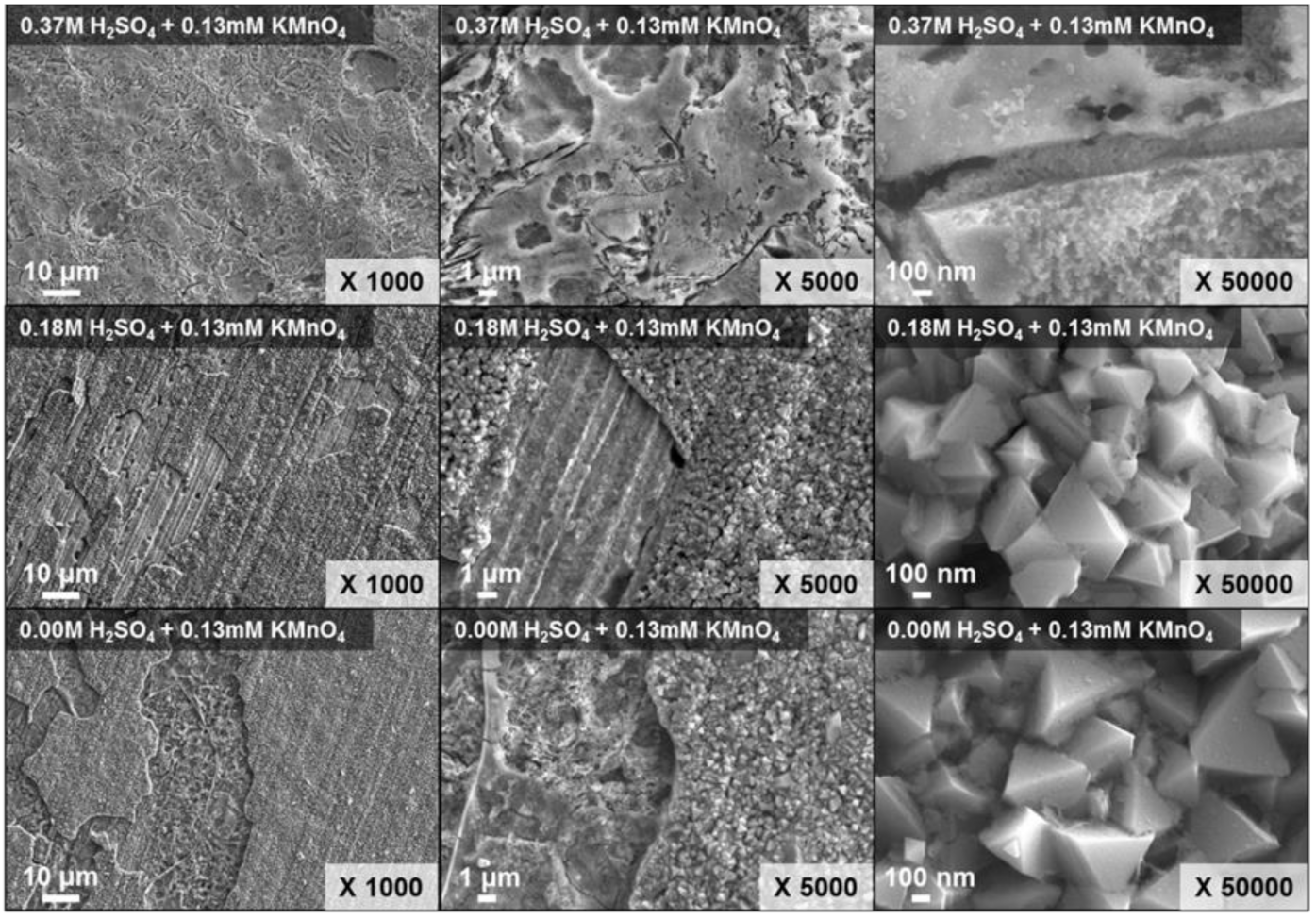 Molecules 26 01329 g006