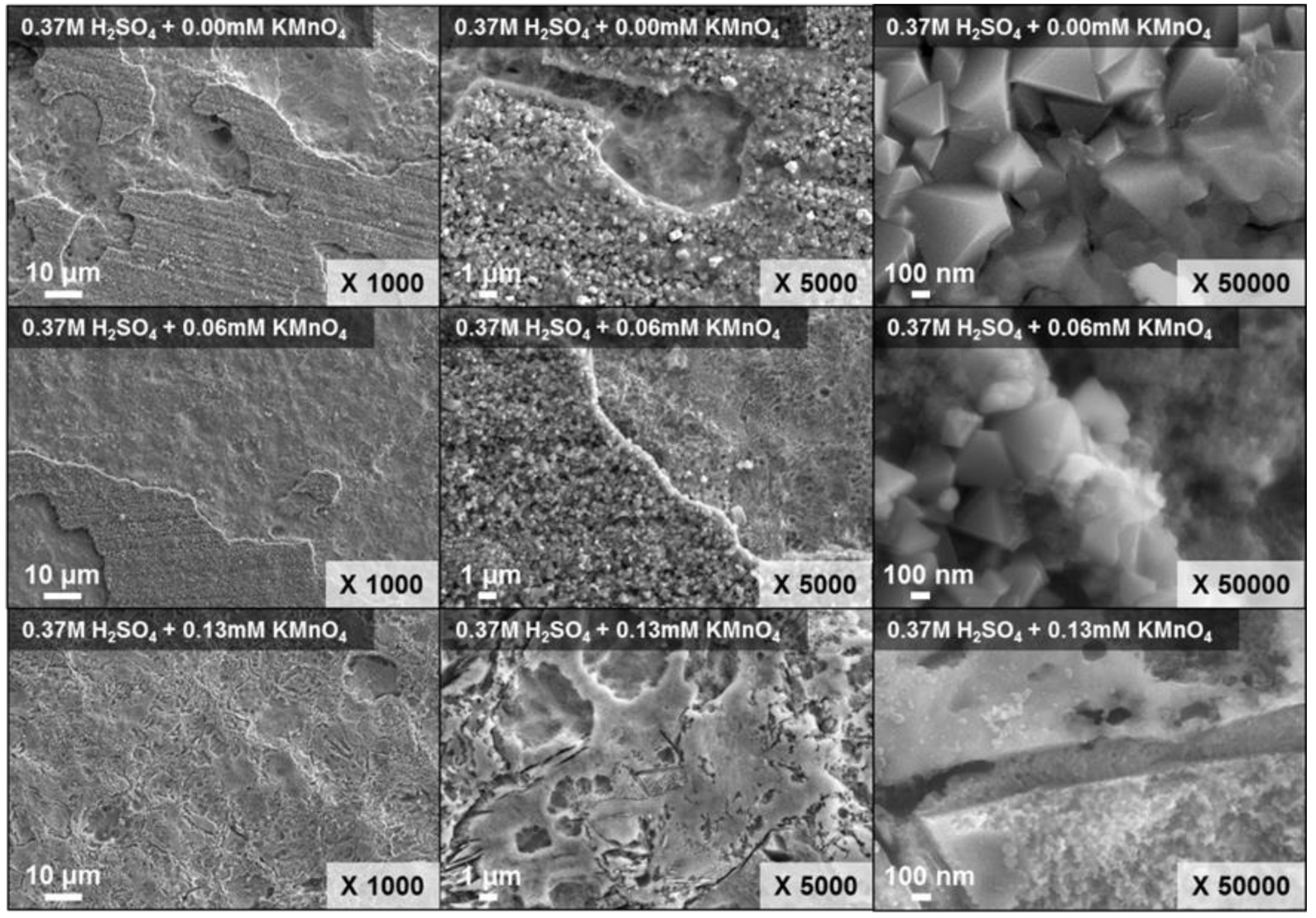 Molecules 26 01329 g009