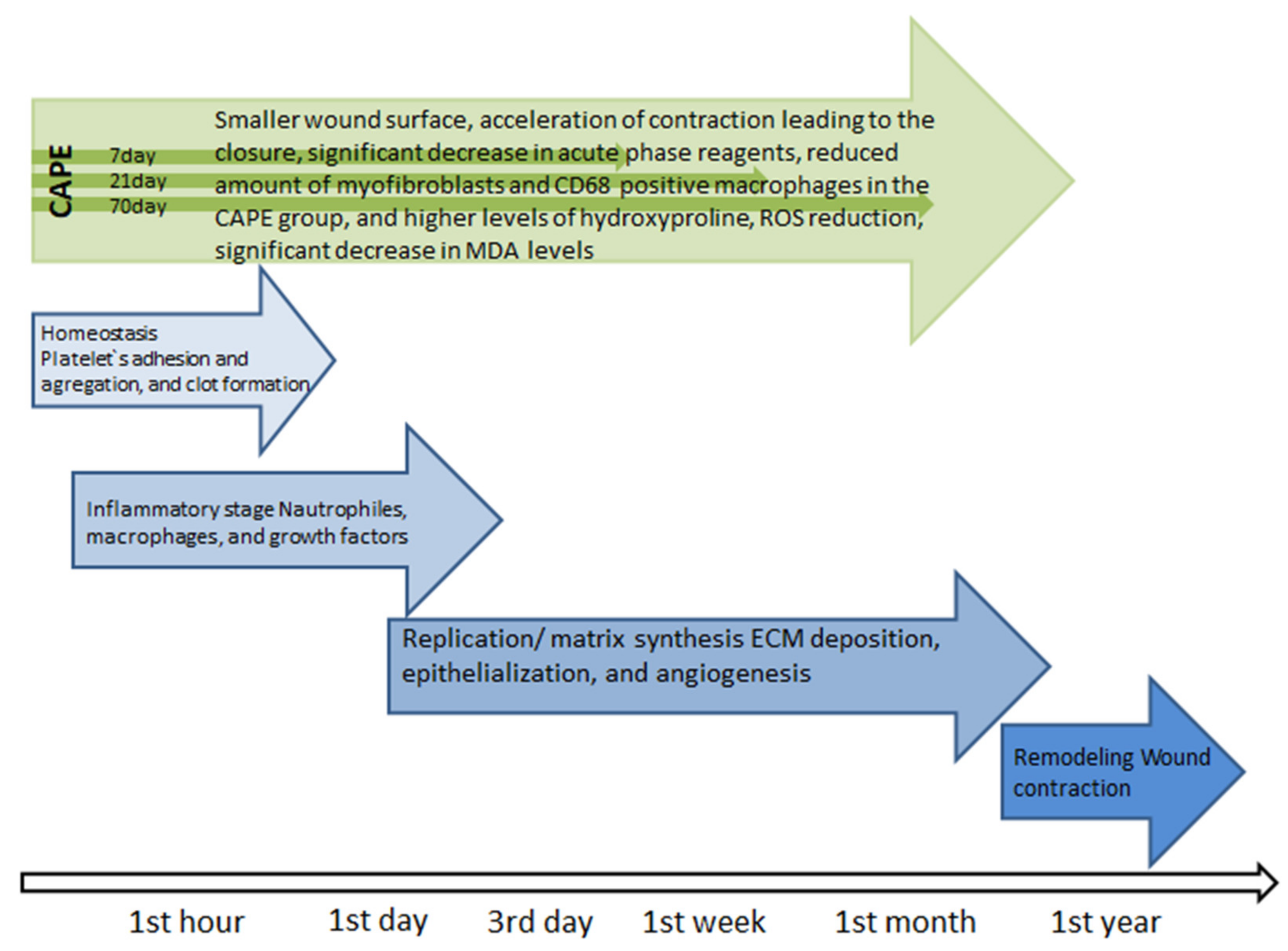 Molecules 26 01335 g002 Molecules 26 01335 g002