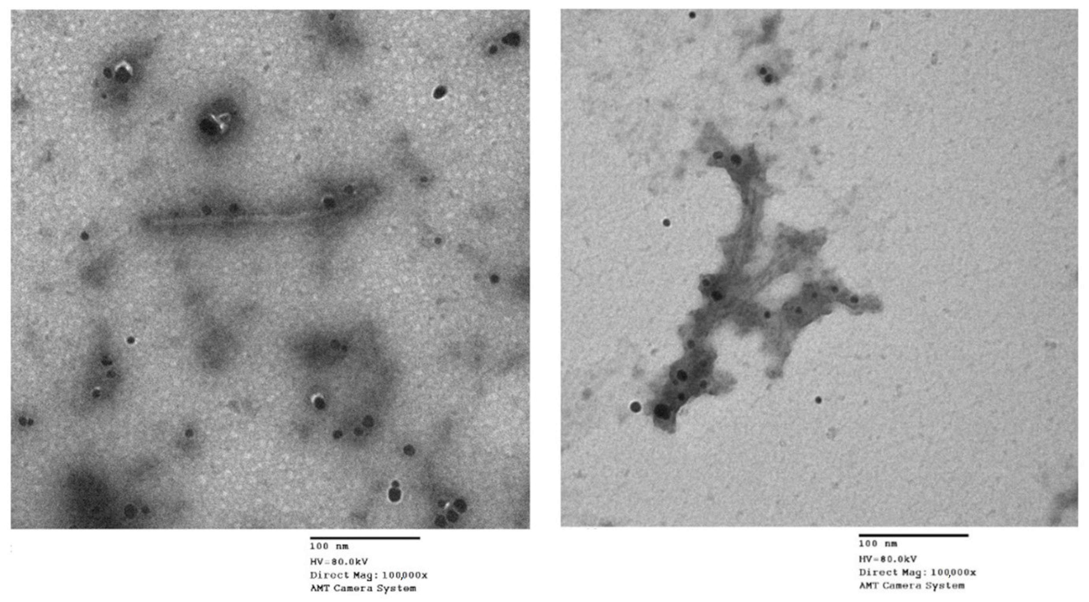 Molecules 26 01337 g002