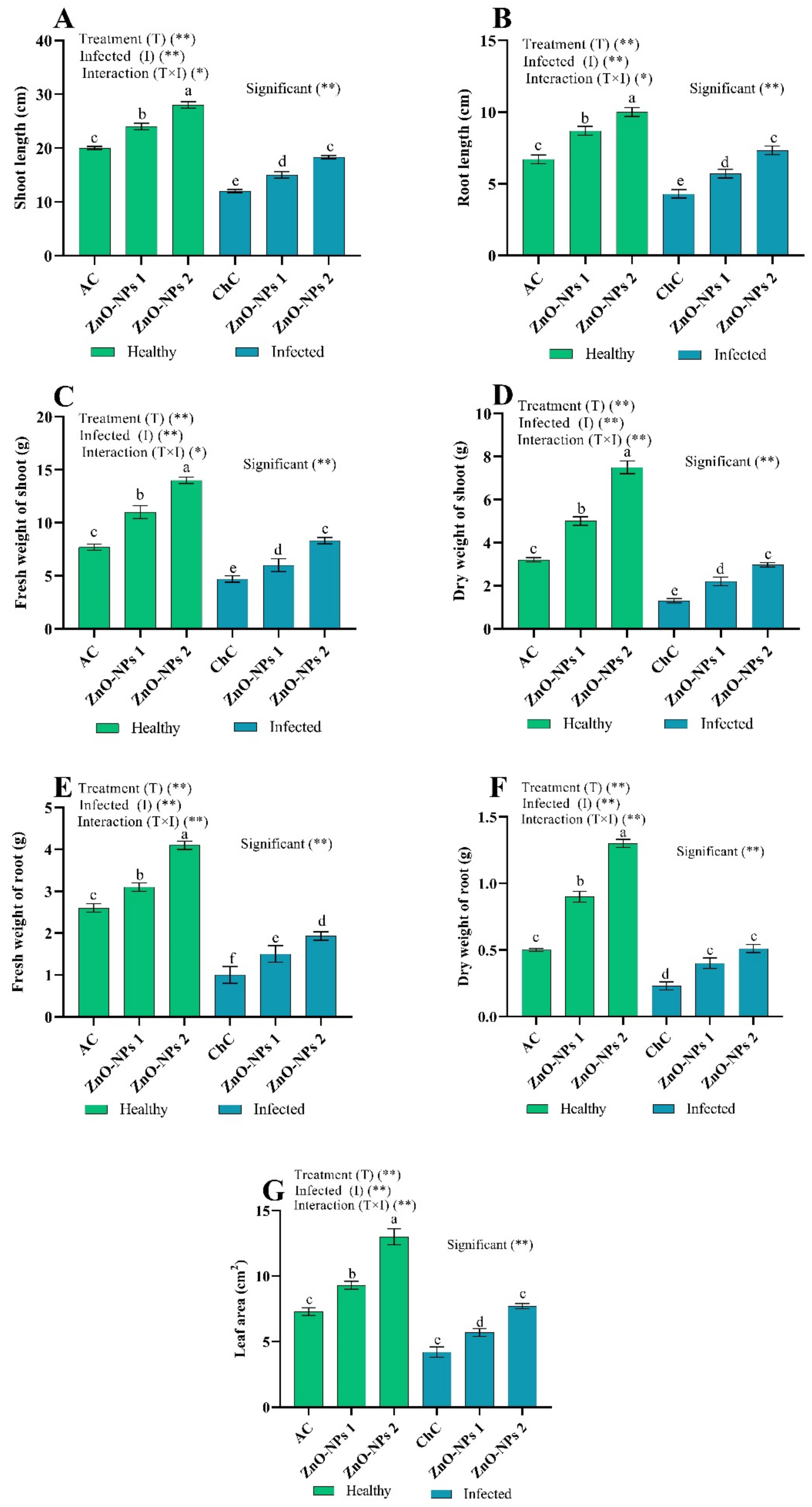 Molecules 26 01337 g004