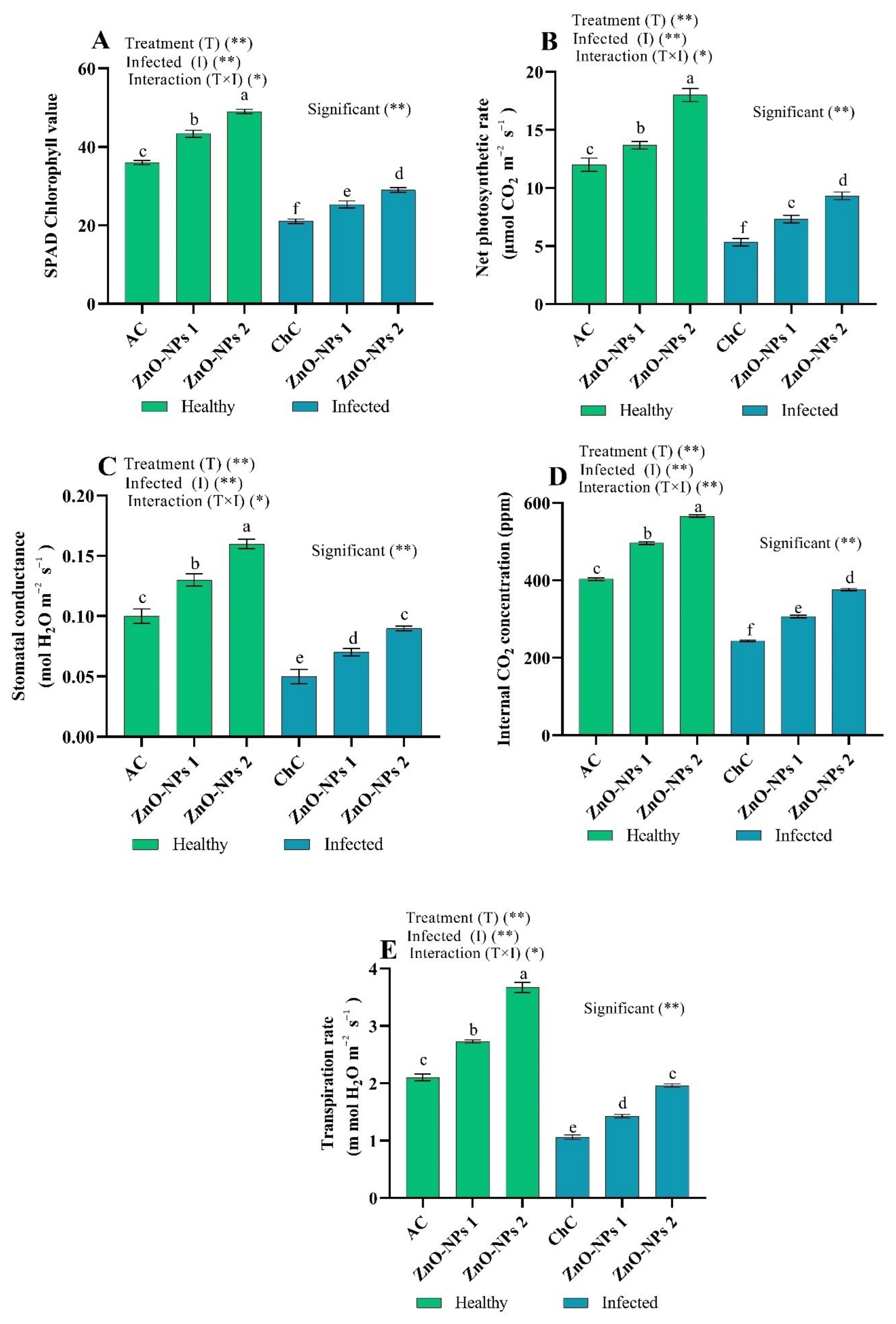 Molecules 26 01337 g005