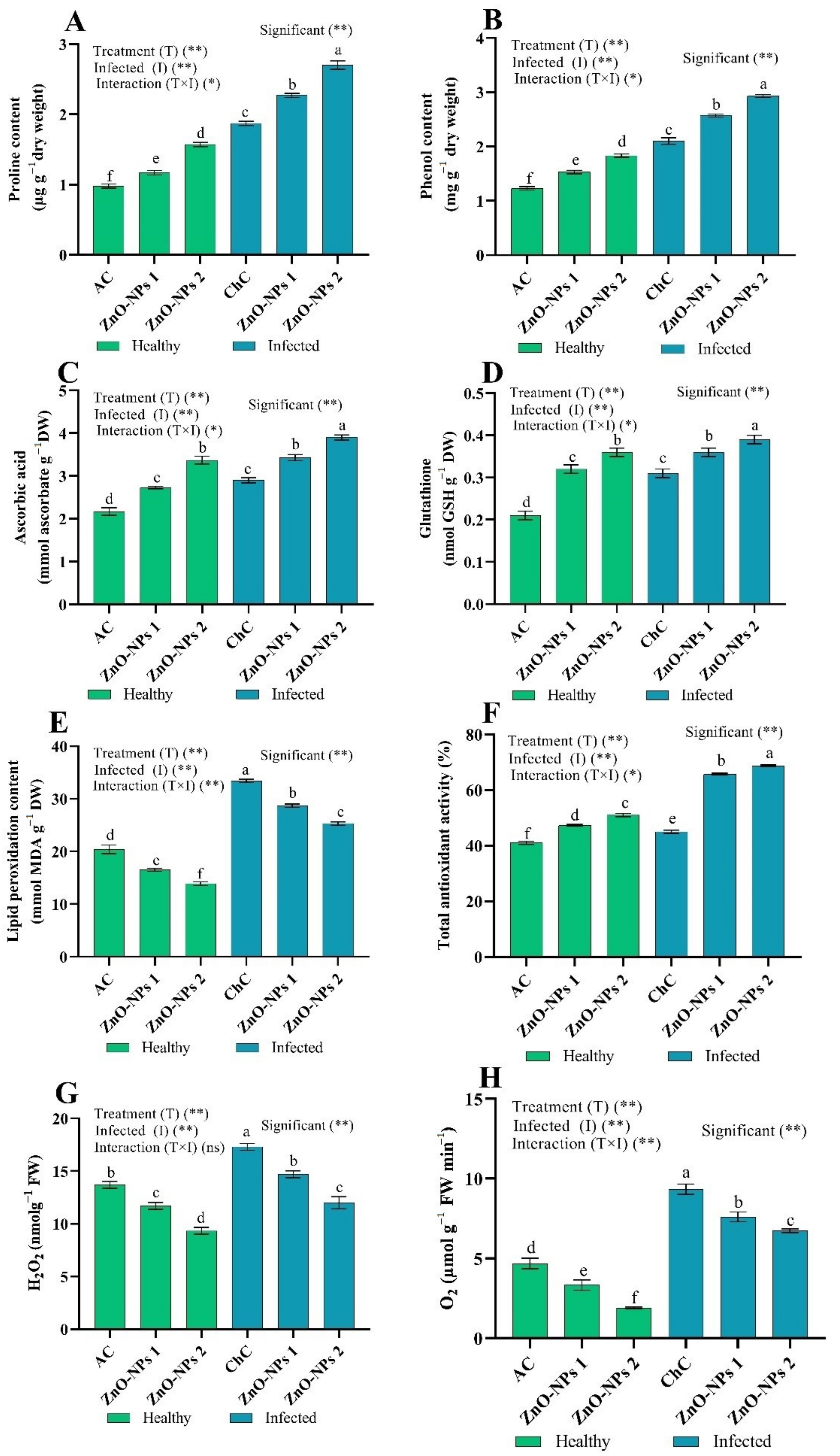 Molecules 26 01337 g006