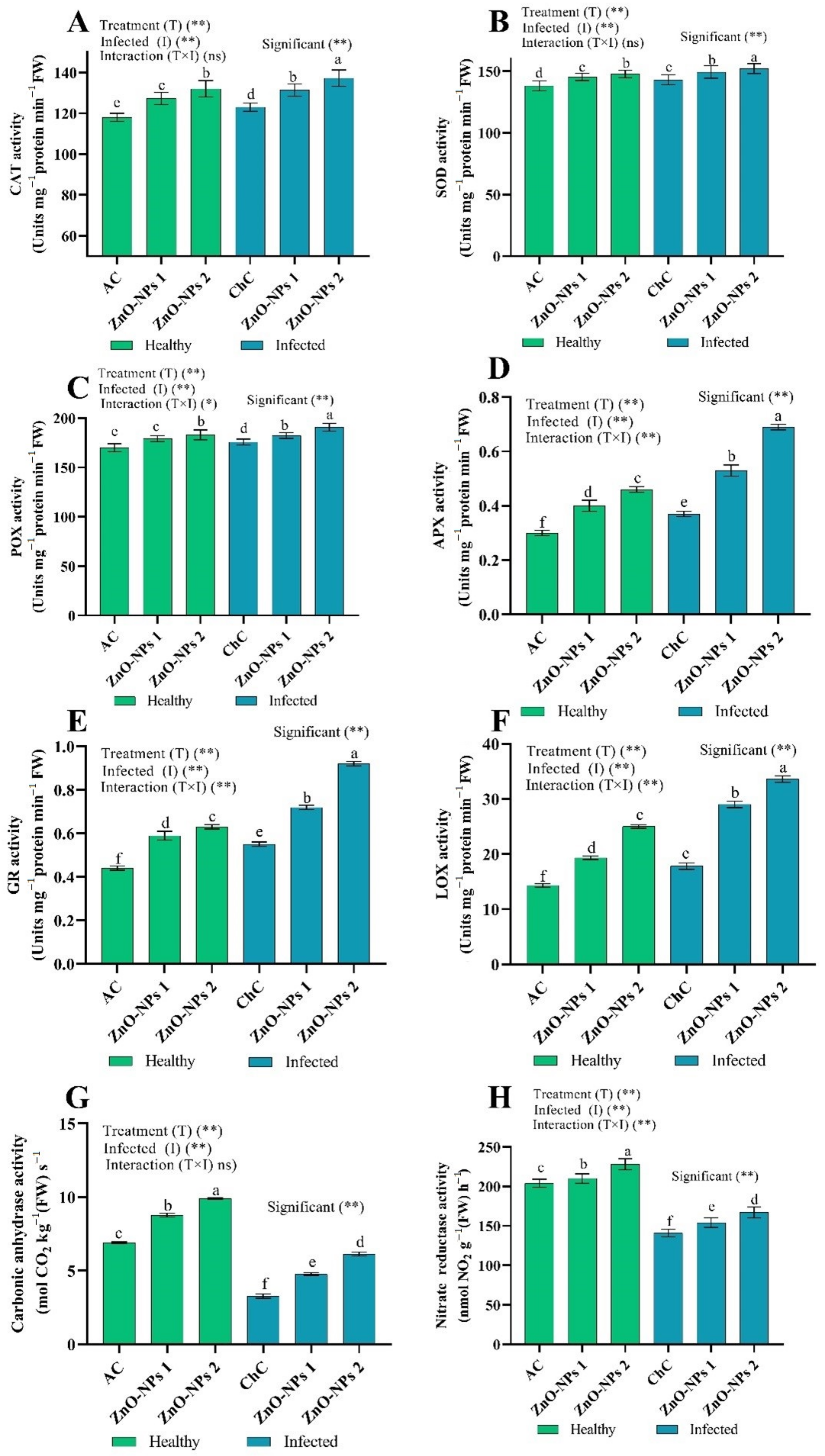 Molecules 26 01337 g007