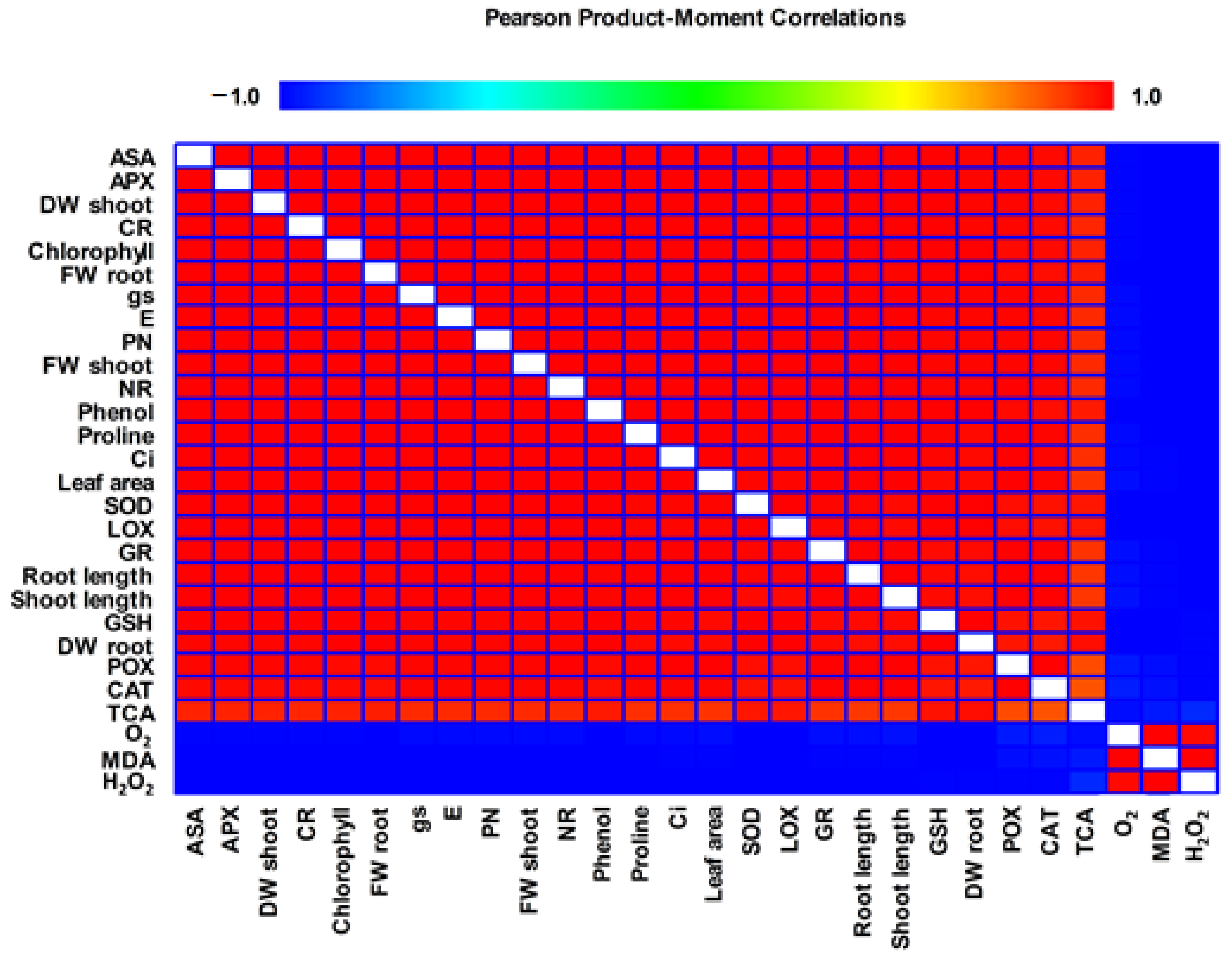 Molecules 26 01337 g008