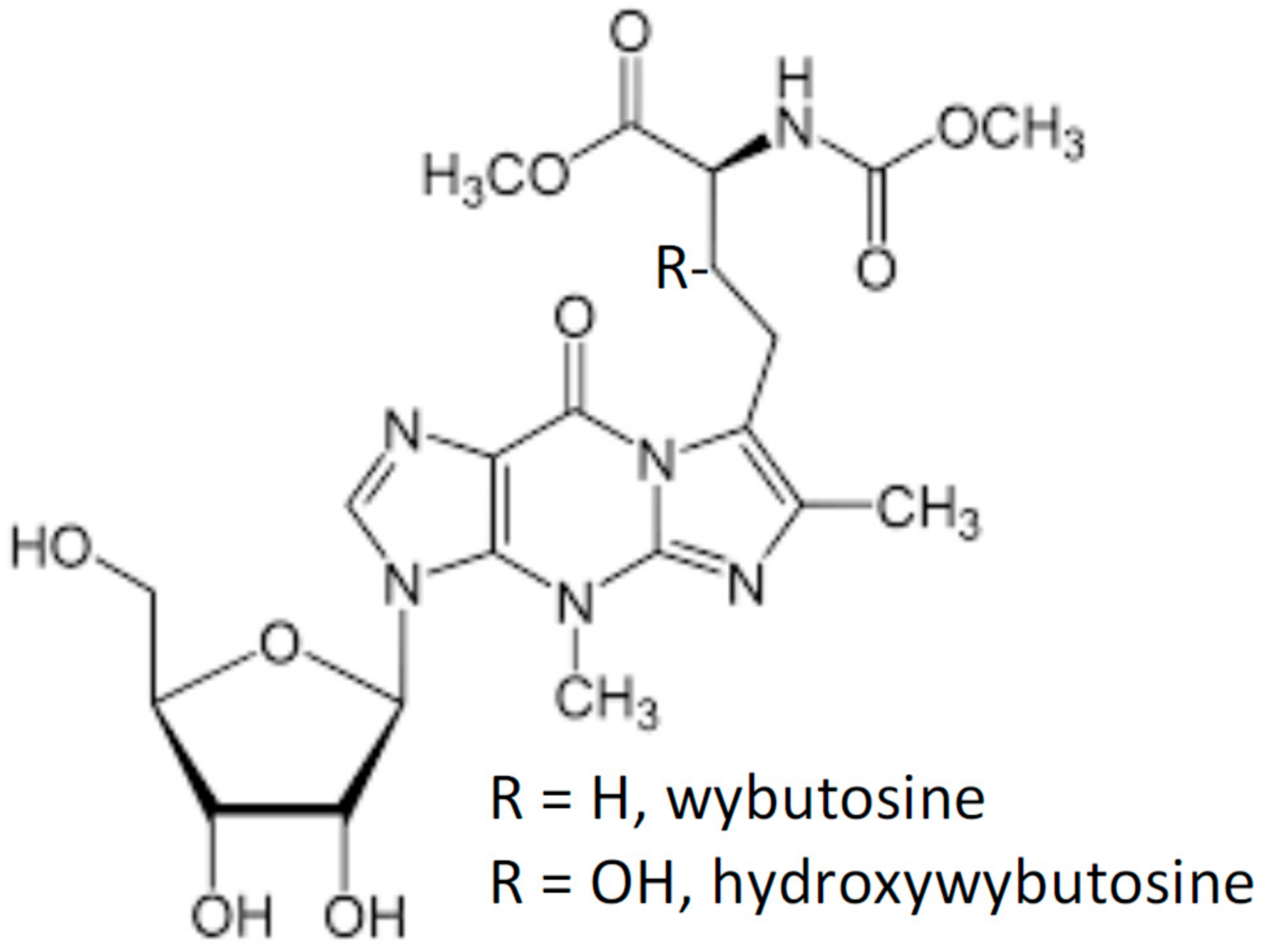 Molecules 26 01341 g001 Molecules 26 01341 g001