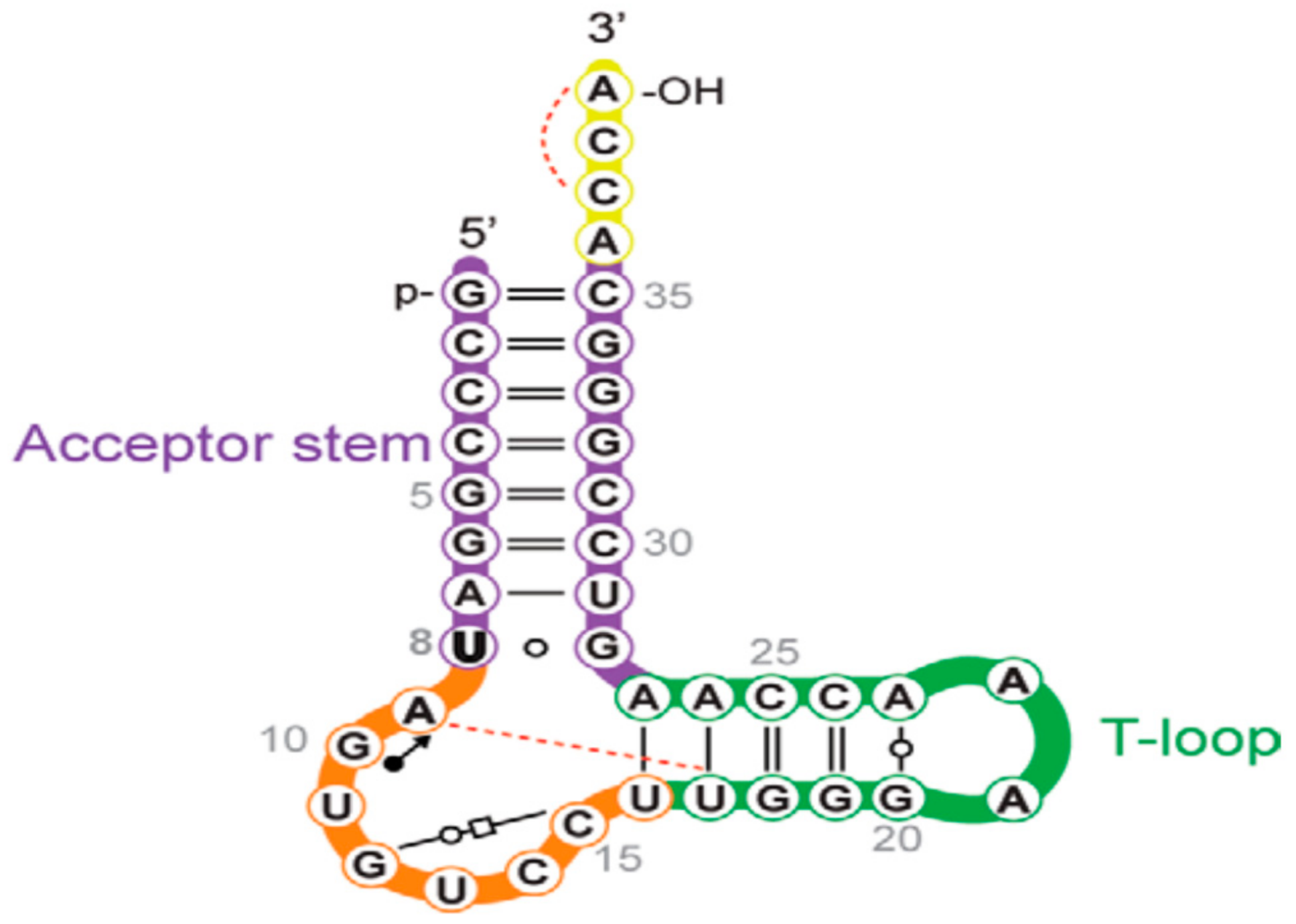 Molecules 26 01341 g003 Molecules 26 01341 g003