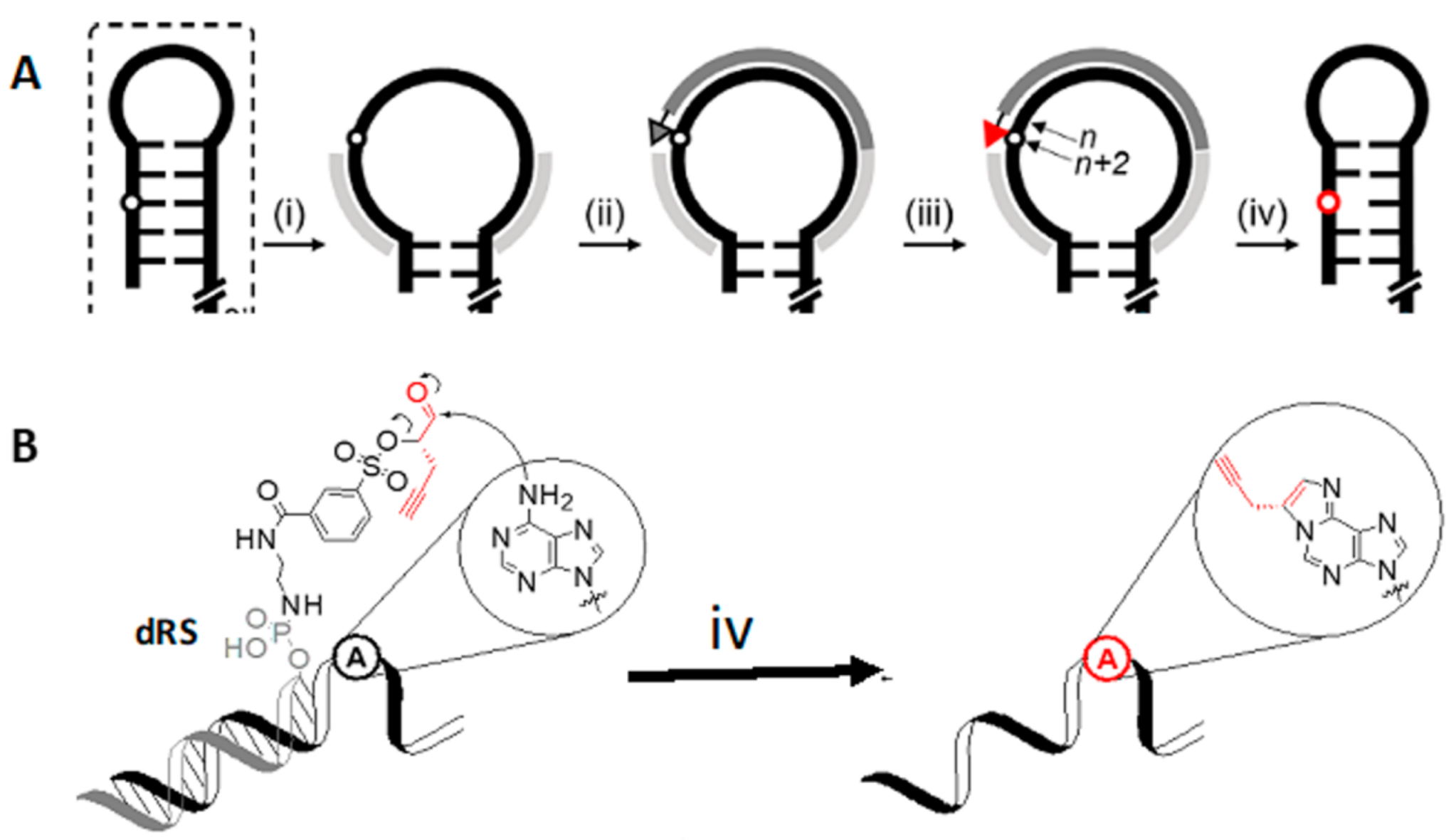 Molecules 26 01341 g006 Molecules 26 01341 g006