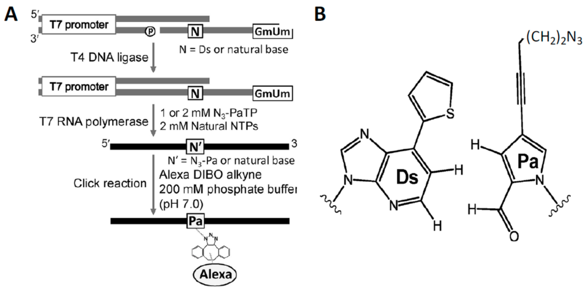 Molecules 26 01341 g009 Molecules 26 01341 g009
