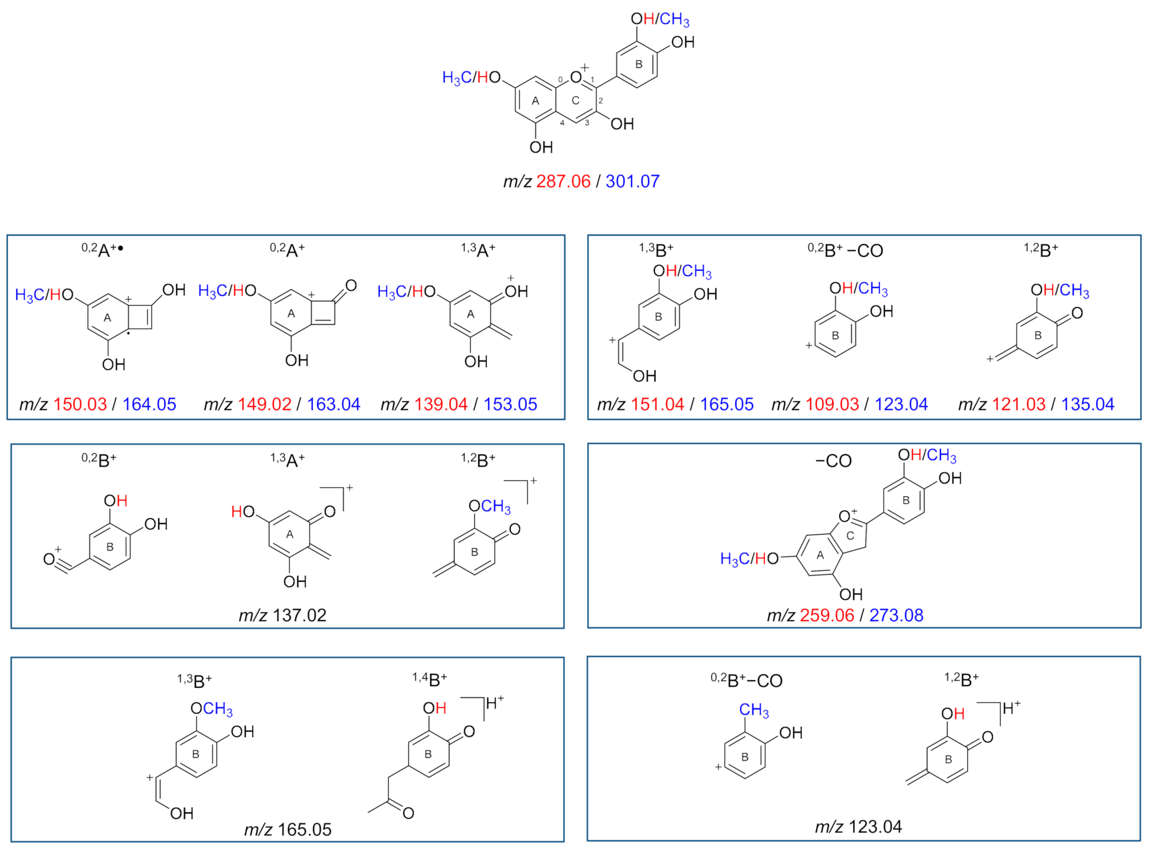 Molecules 26 01342 g003