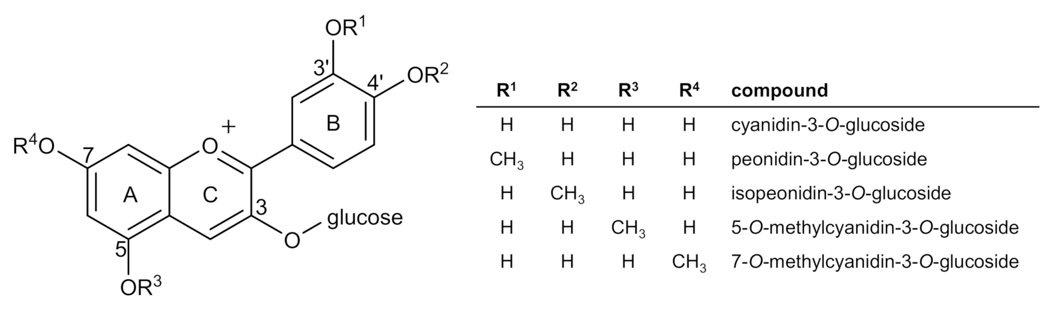 Molecules 26 01342 sch002