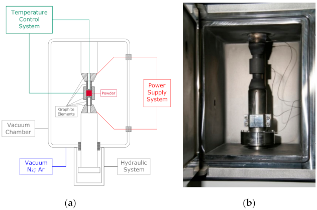 Molecules 26 01344 g001
