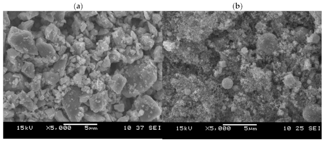 Molecules 26 01344 g002
