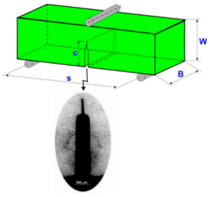 Molecules 26 01344 g004