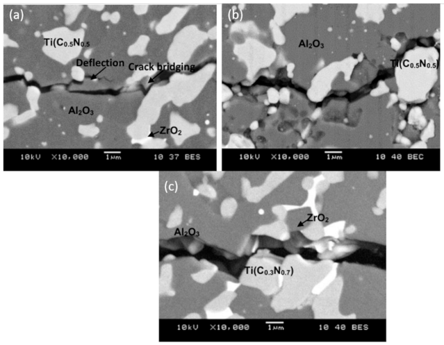 Molecules 26 01344 g007