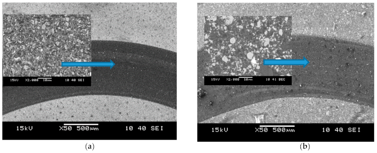 Molecules 26 01344 g011