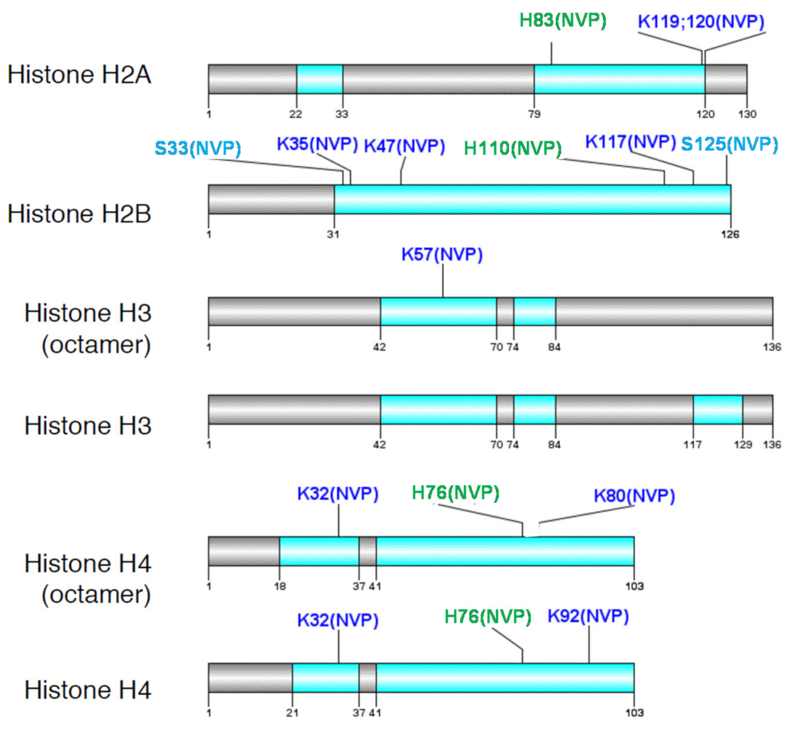 Molecules 26 01349 g002 Molecules 26 01349 g002