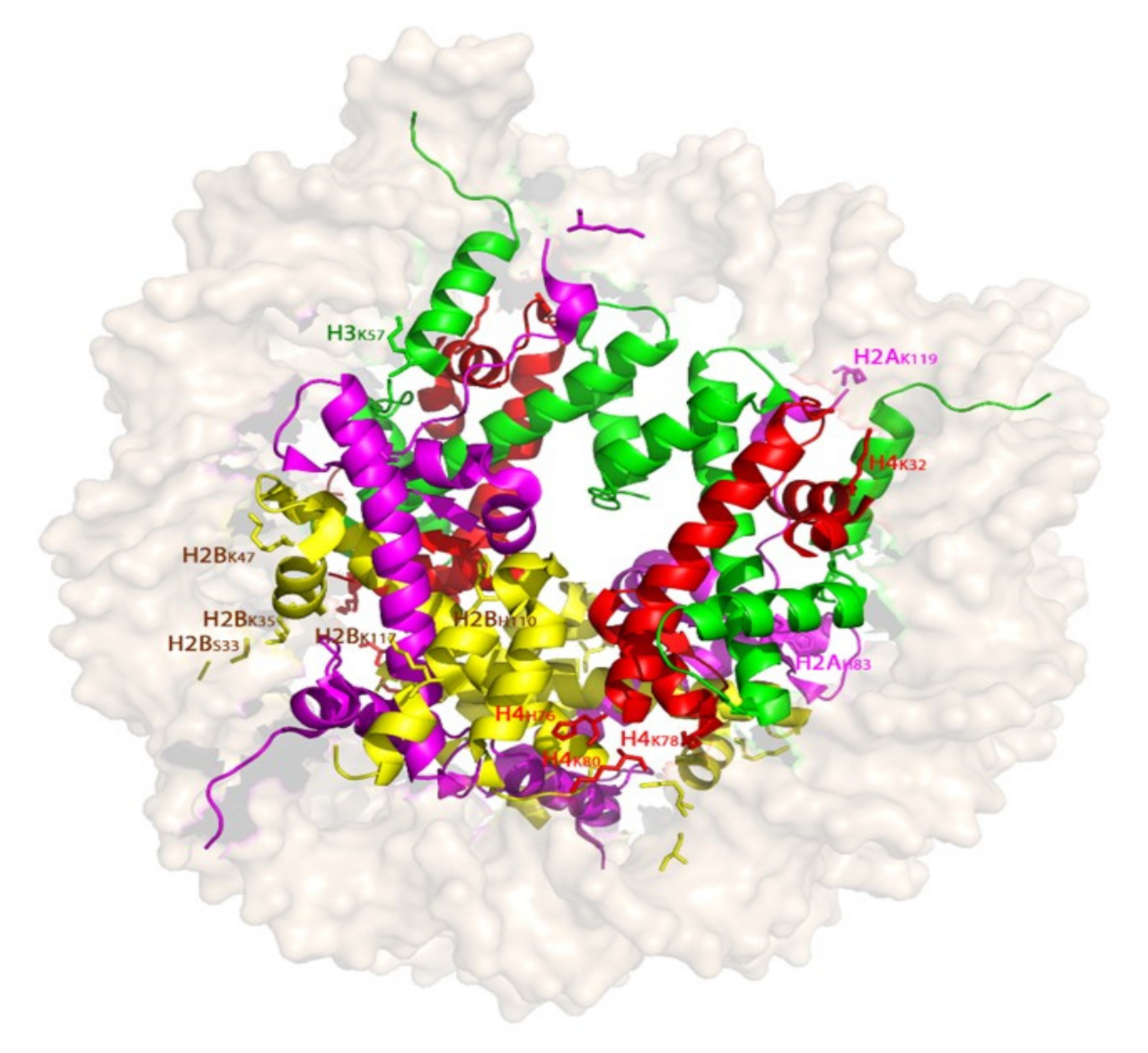 Molecules 26 01349 g004 Molecules 26 01349 g004