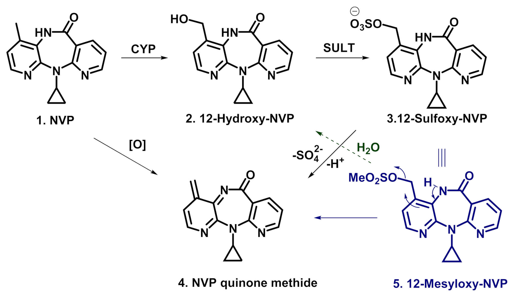 Molecules 26 01349 sch001 Molecules 26 01349 sch001