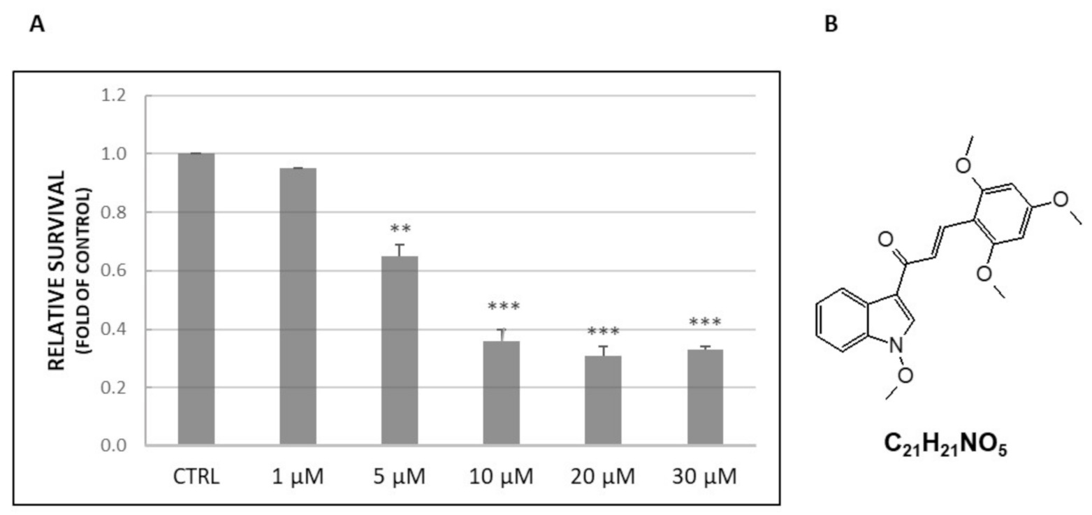 The Newly Synthetized Chalcone L1 Is Involved in the Cell