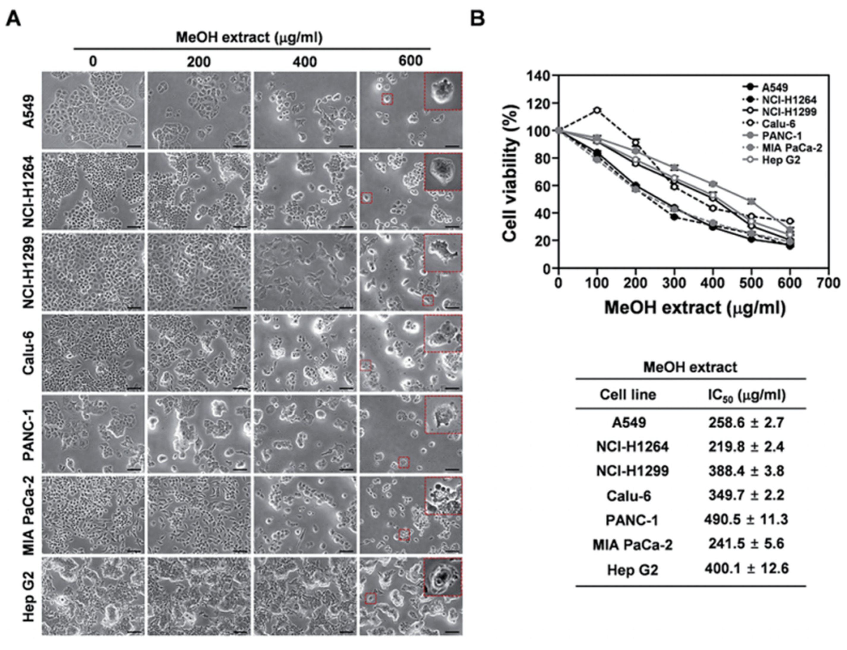Molecules 26 01359 g004 Molecules 26 01359 g004