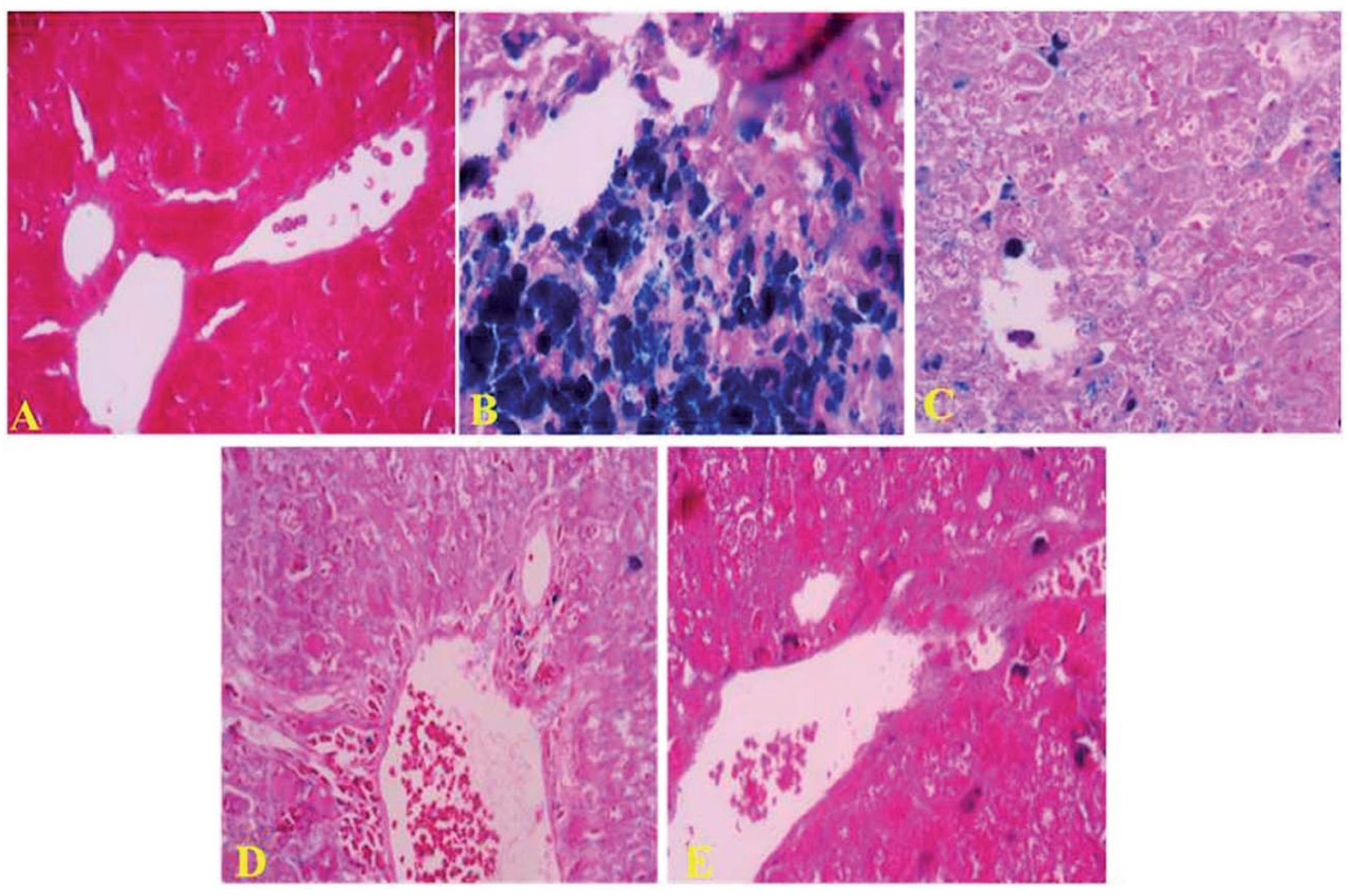 Molecules 26 01359 g006 Molecules 26 01359 g006