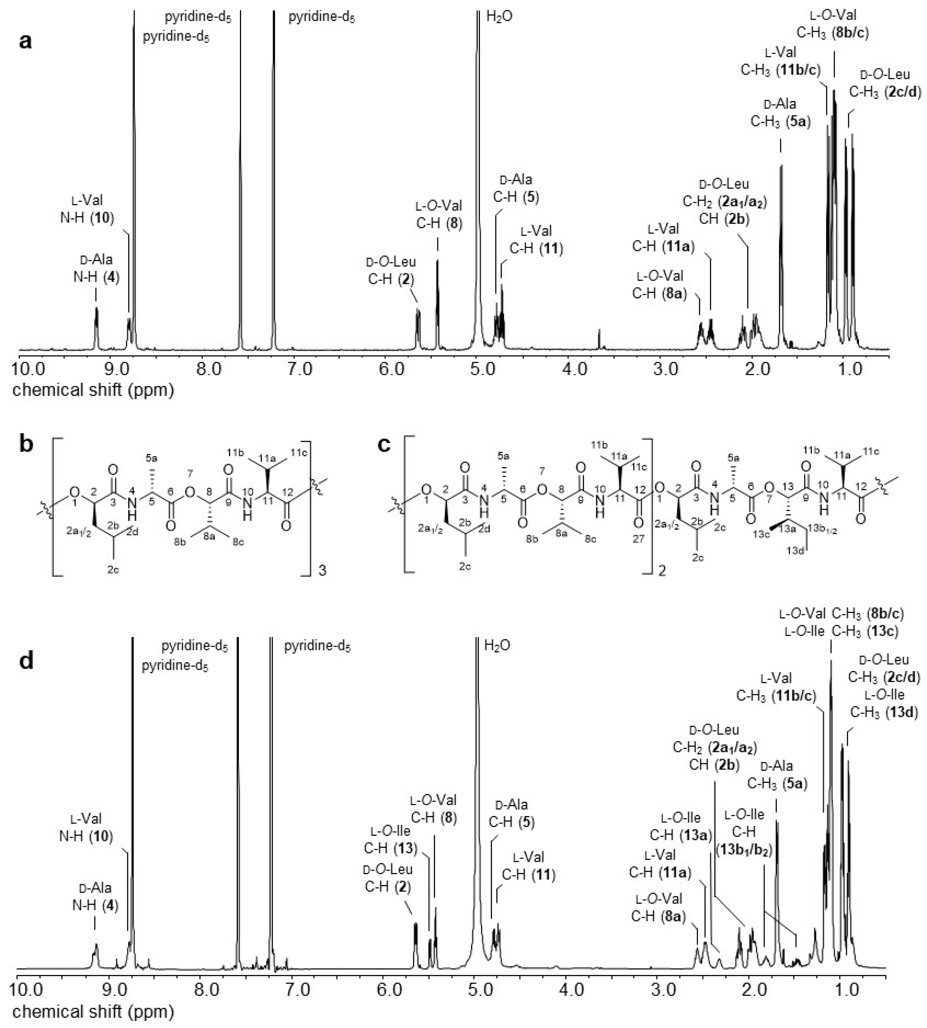 Molecules 26 01360 g001