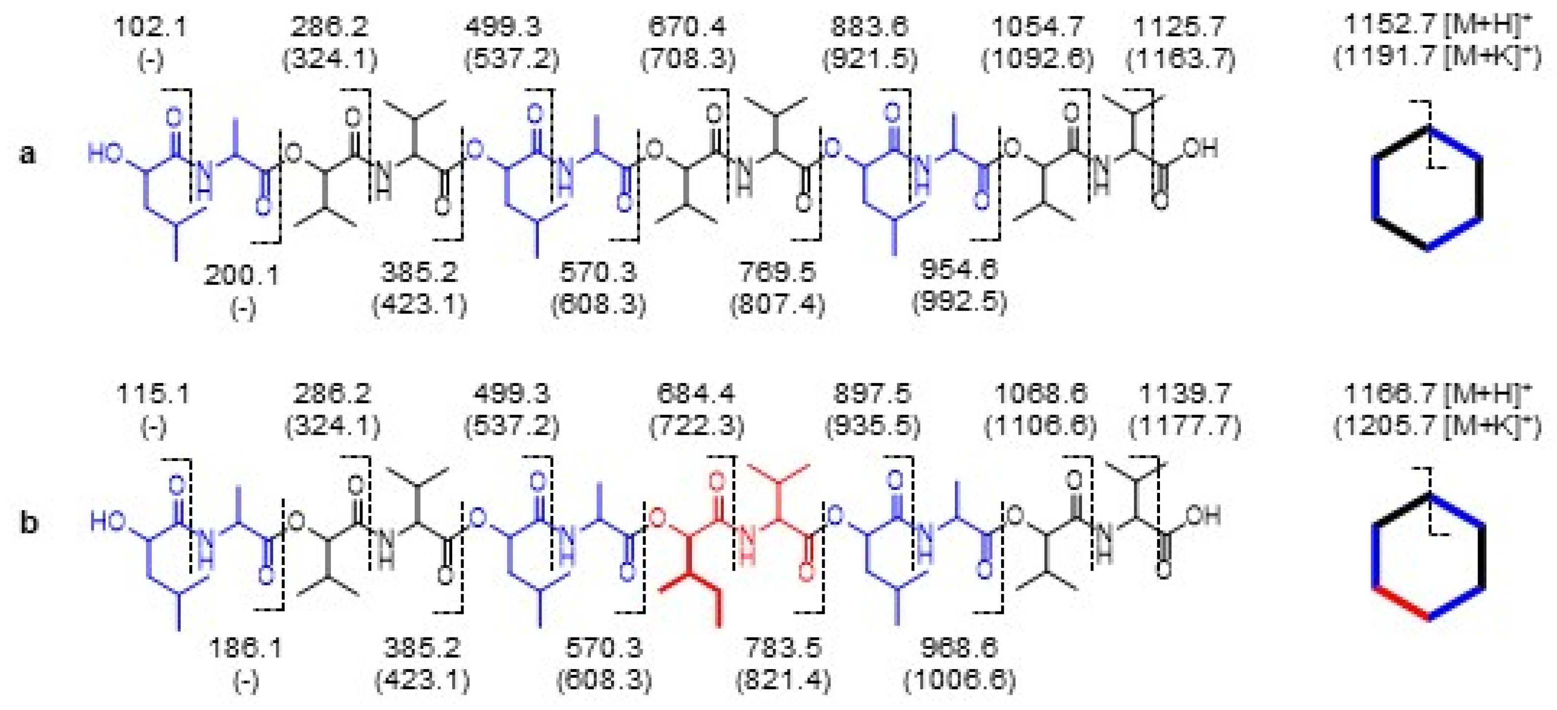 Molecules 26 01360 g004