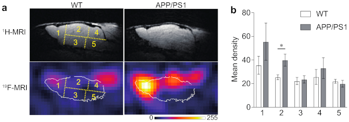 Molecules 26 01362 g004 Molecules 26 01362 g004