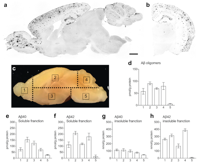 Molecules 26 01362 g005 Molecules 26 01362 g005
