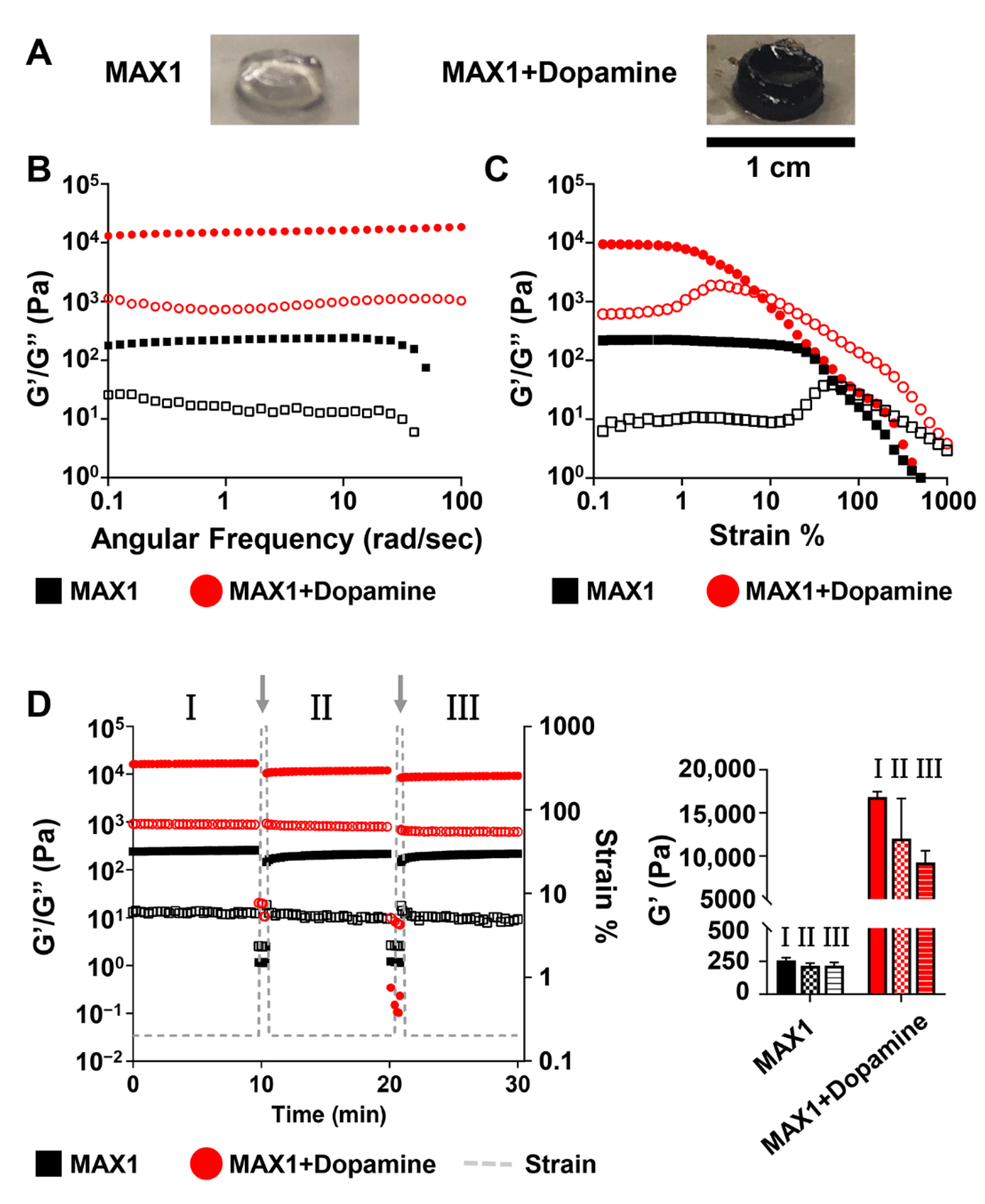 Molecules 26 01363 g002 Molecules 26 01363 g002