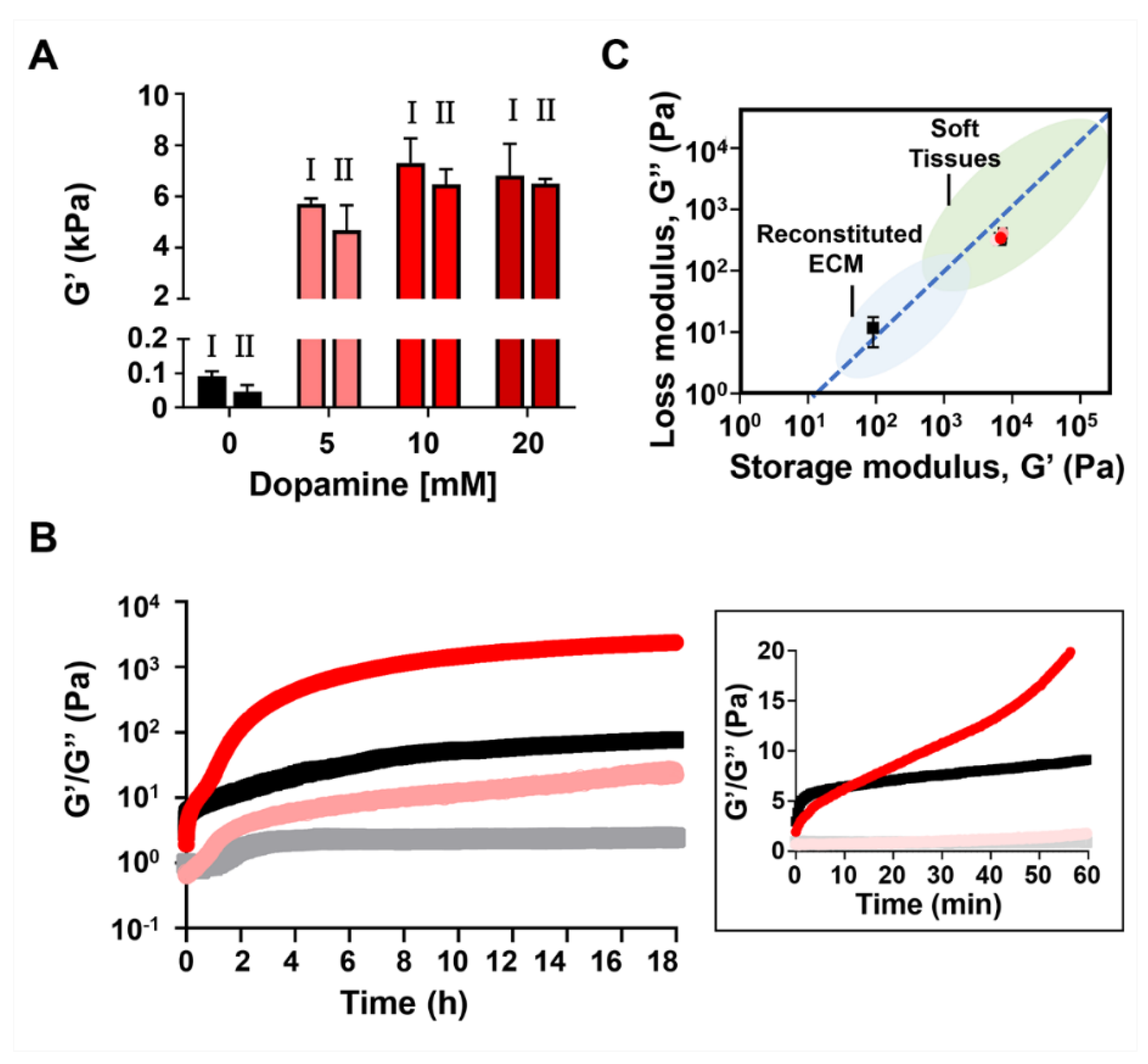 Molecules 26 01363 g006 Molecules 26 01363 g006