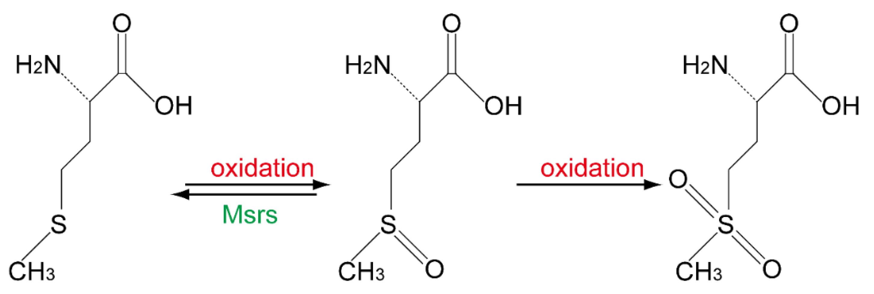 Molecules 26 01372 g001