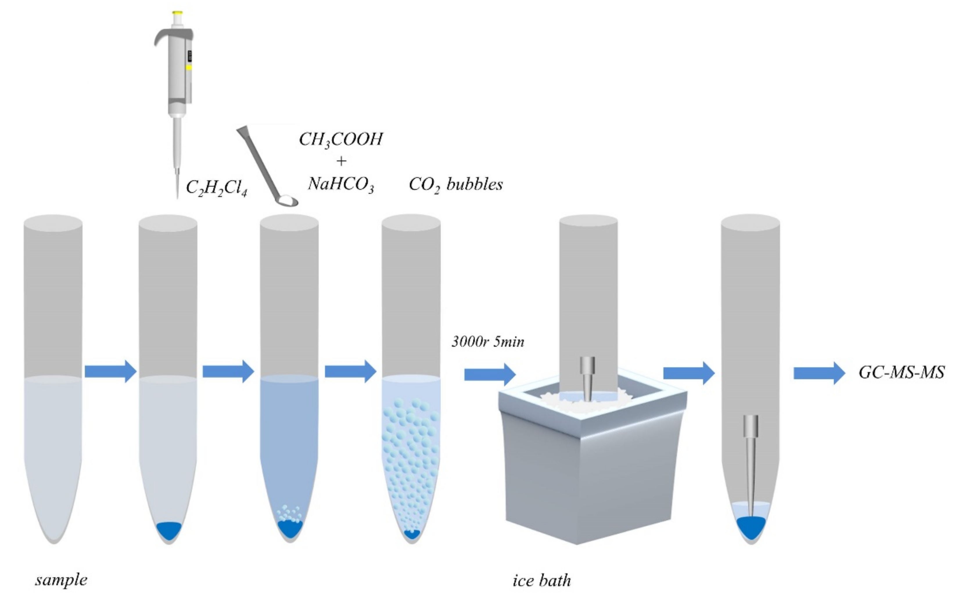 Molecules 26 01376 g006