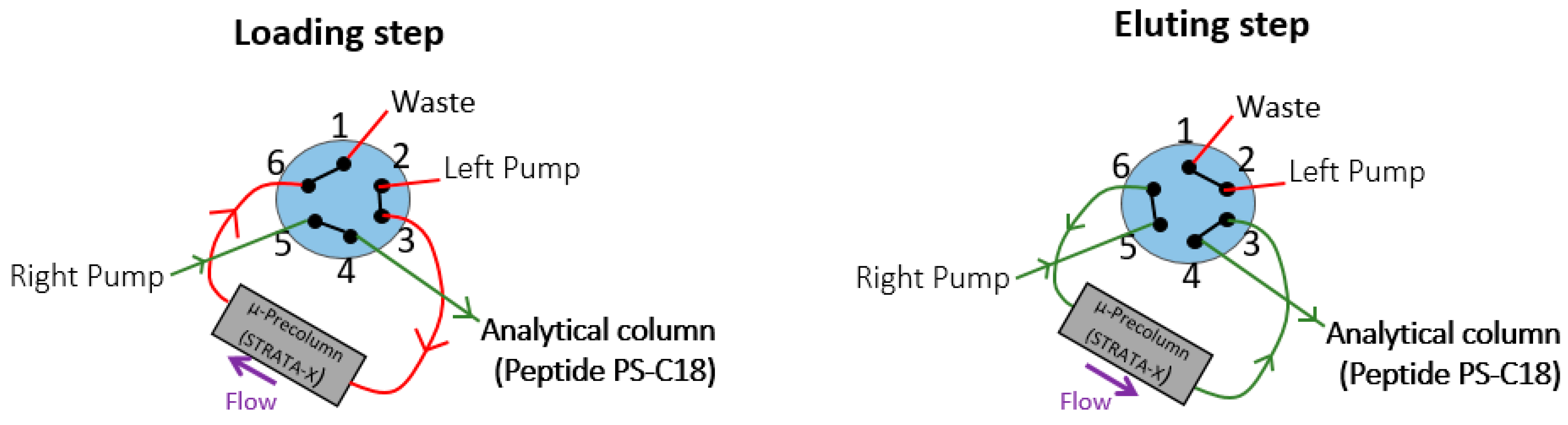 Molecules 26 01383 g008