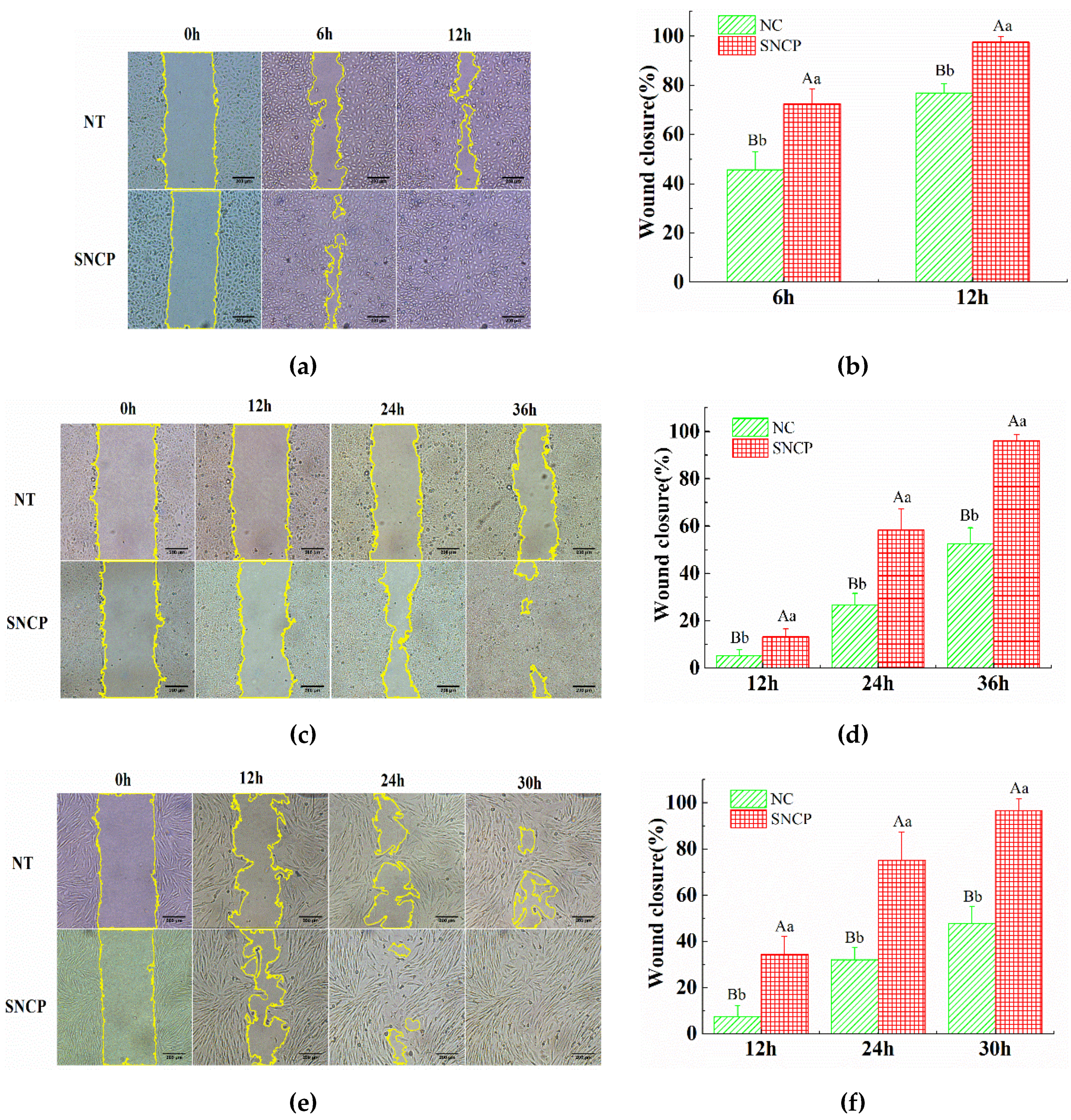 Molecules 26 01385 g002 Molecules 26 01385 g002