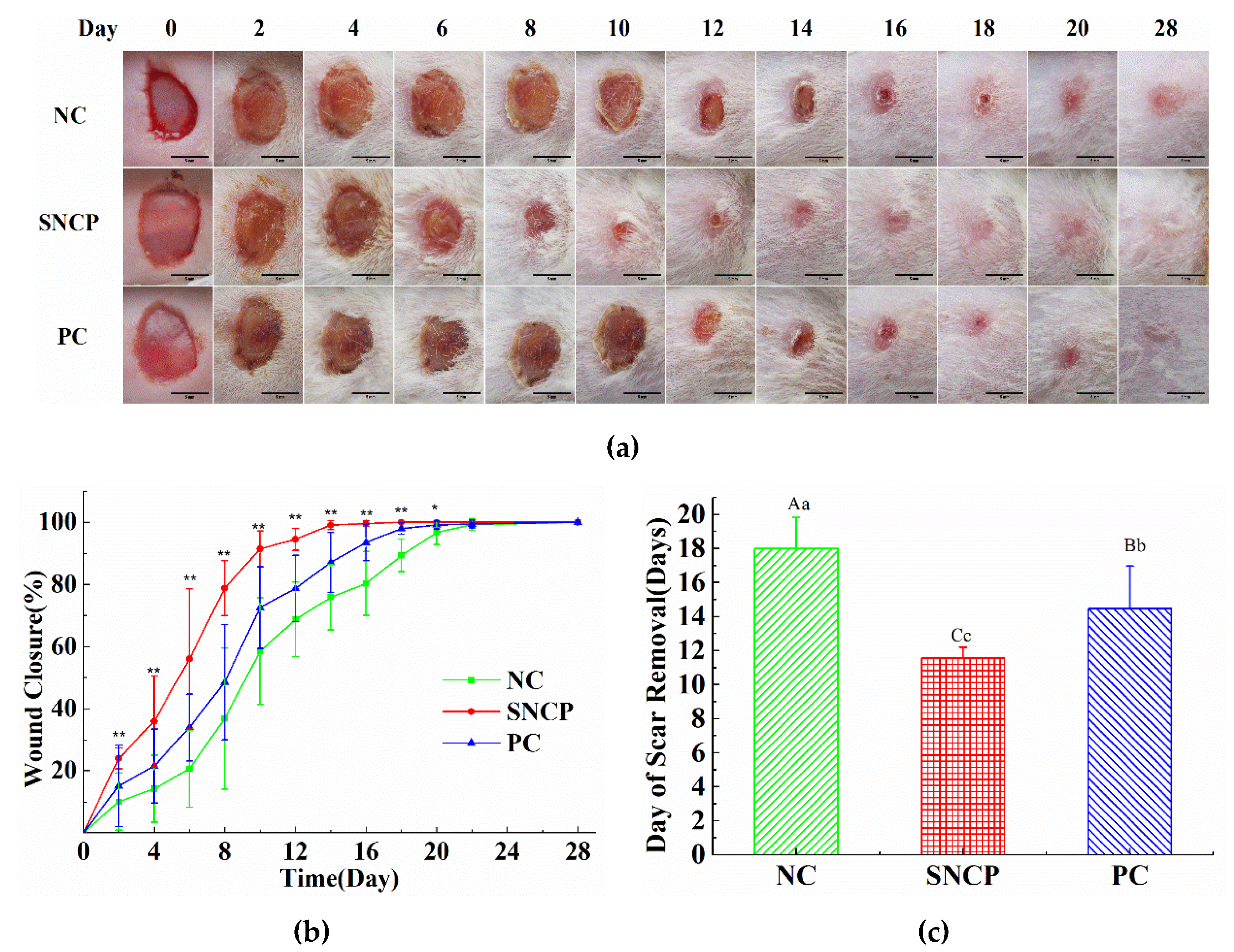 Molecules 26 01385 g003 Molecules 26 01385 g003