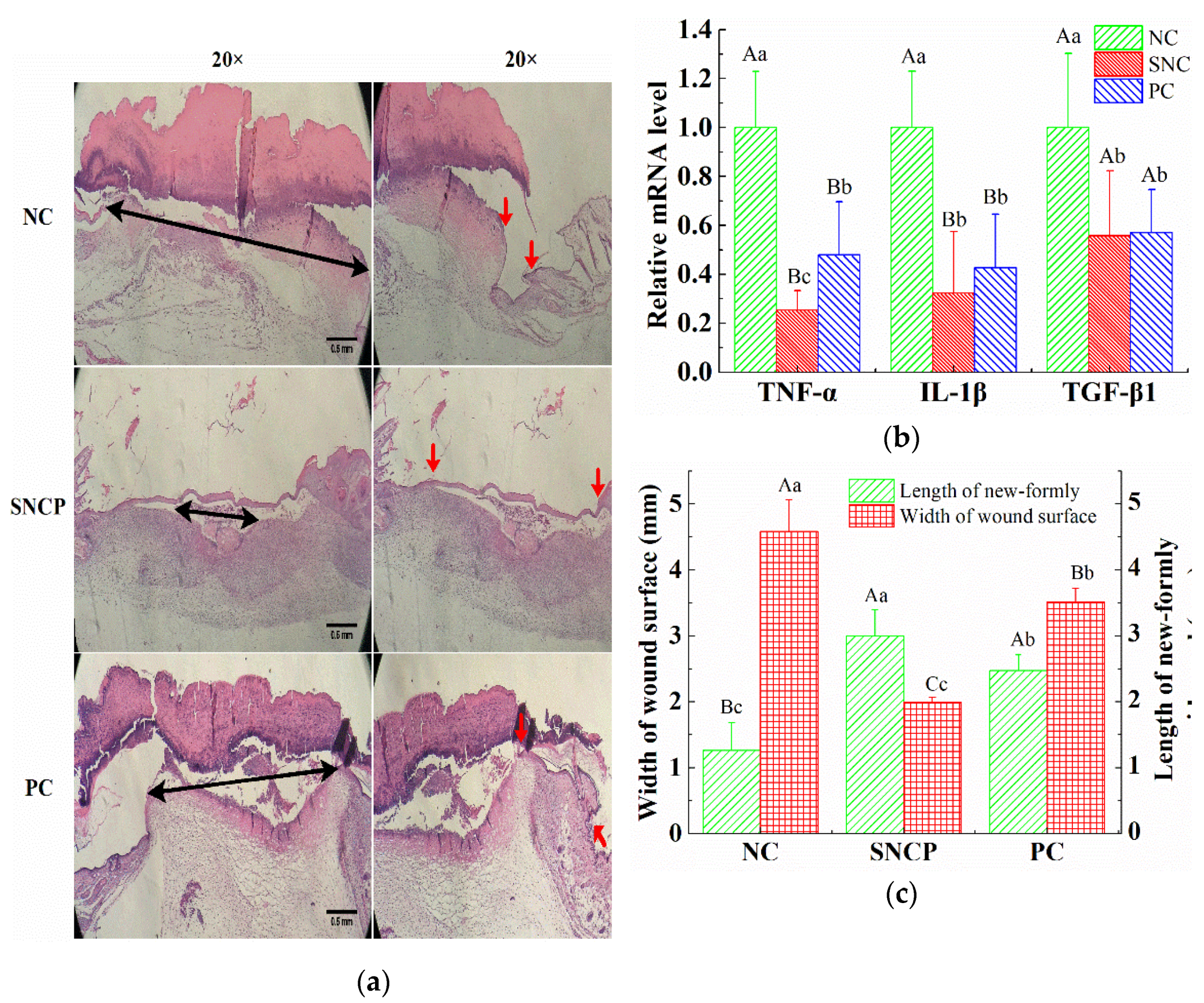Molecules 26 01385 g004 Molecules 26 01385 g004