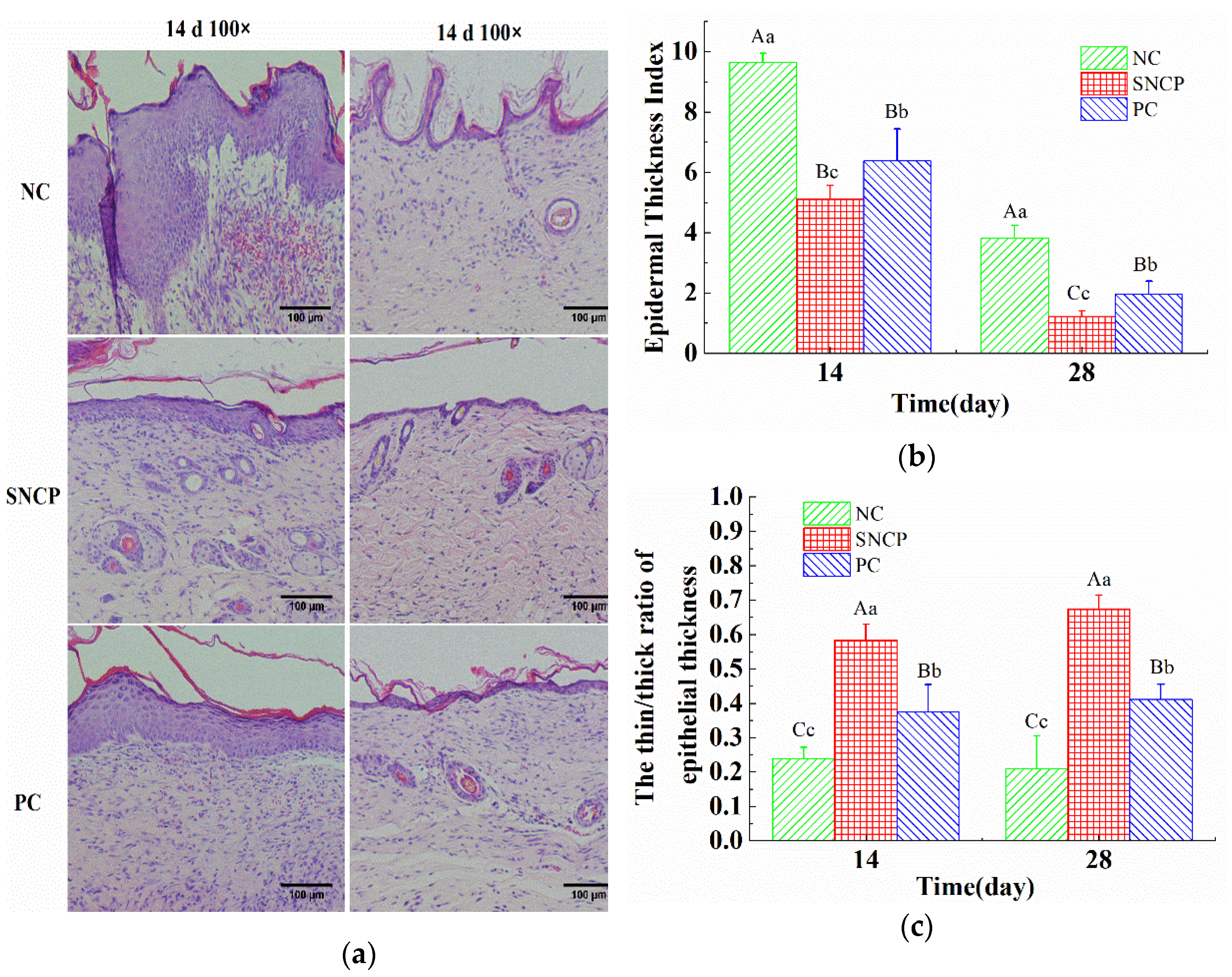 Molecules 26 01385 g005 Molecules 26 01385 g005