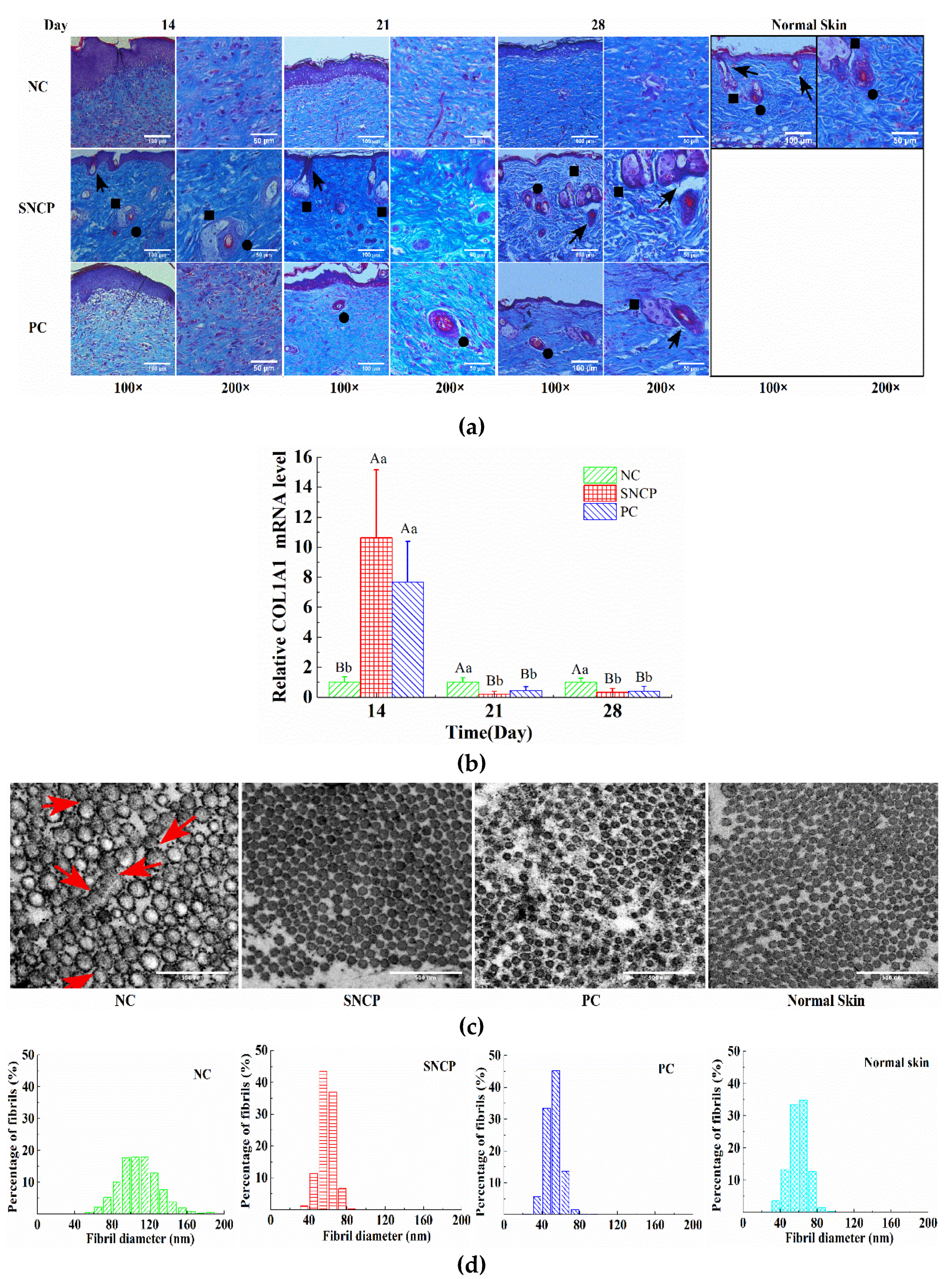 Molecules 26 01385 g006 Molecules 26 01385 g006