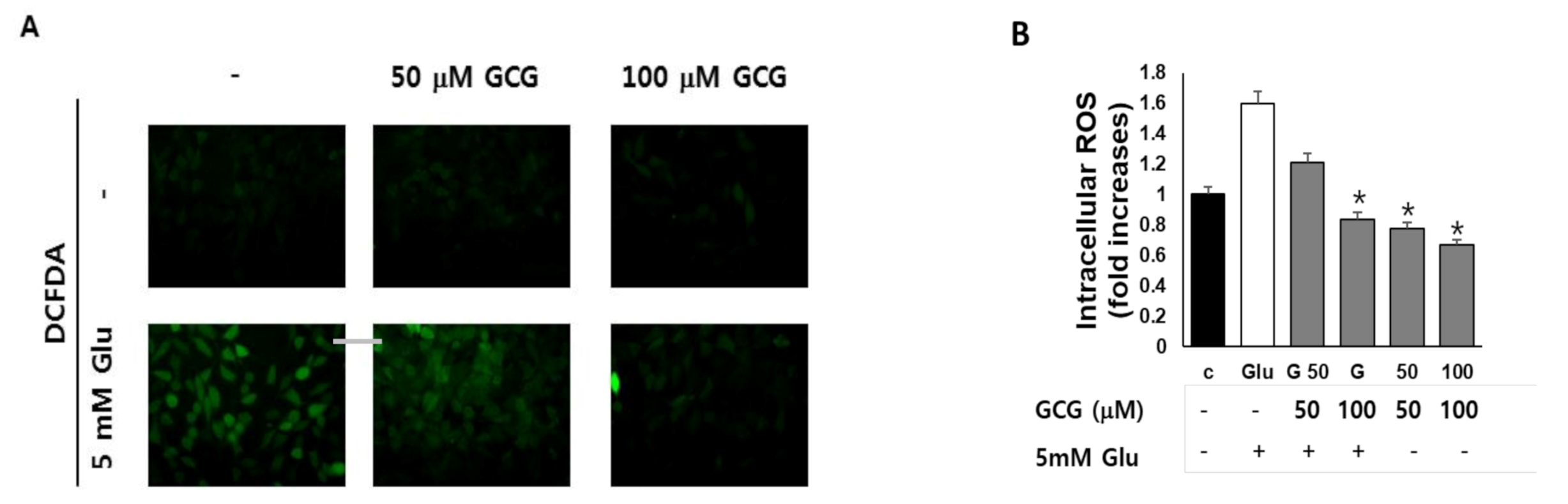 Molecules 26 01387 g003 Molecules 26 01387 g003